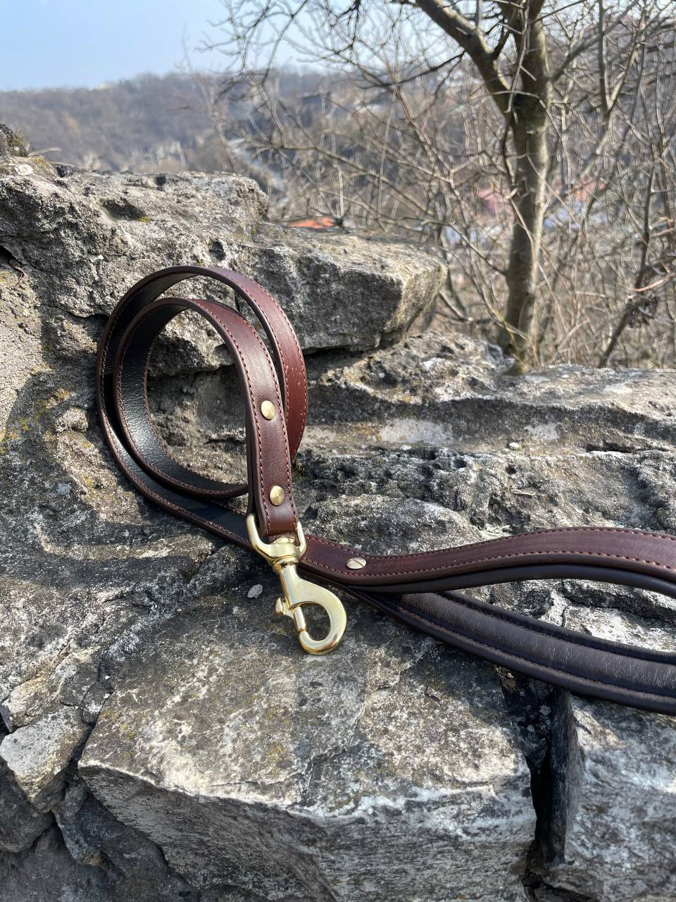 Leather Dog Leash with Soft Padded Handle