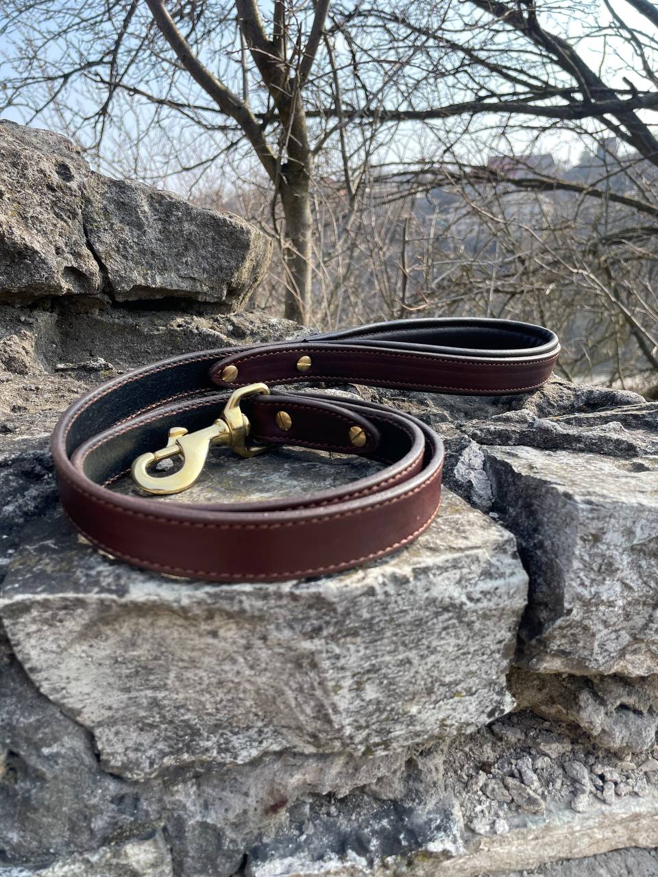 Leather Dog Leash with Soft Padded Handle