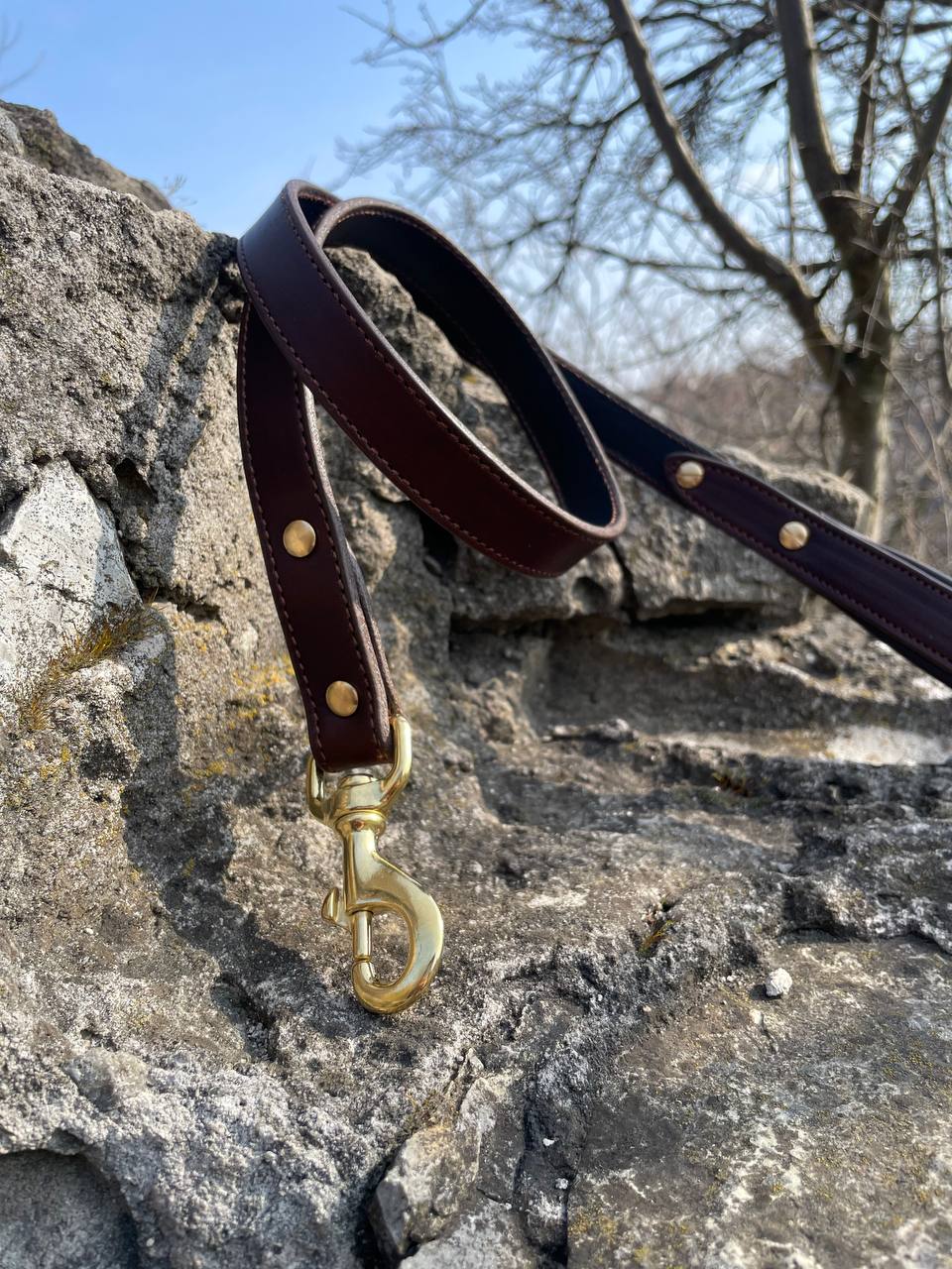 Leather Dog Leash with Soft Padded Handle