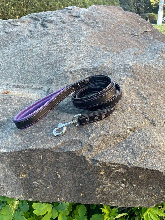 Leather Dog Leash with Soft Padded Handle