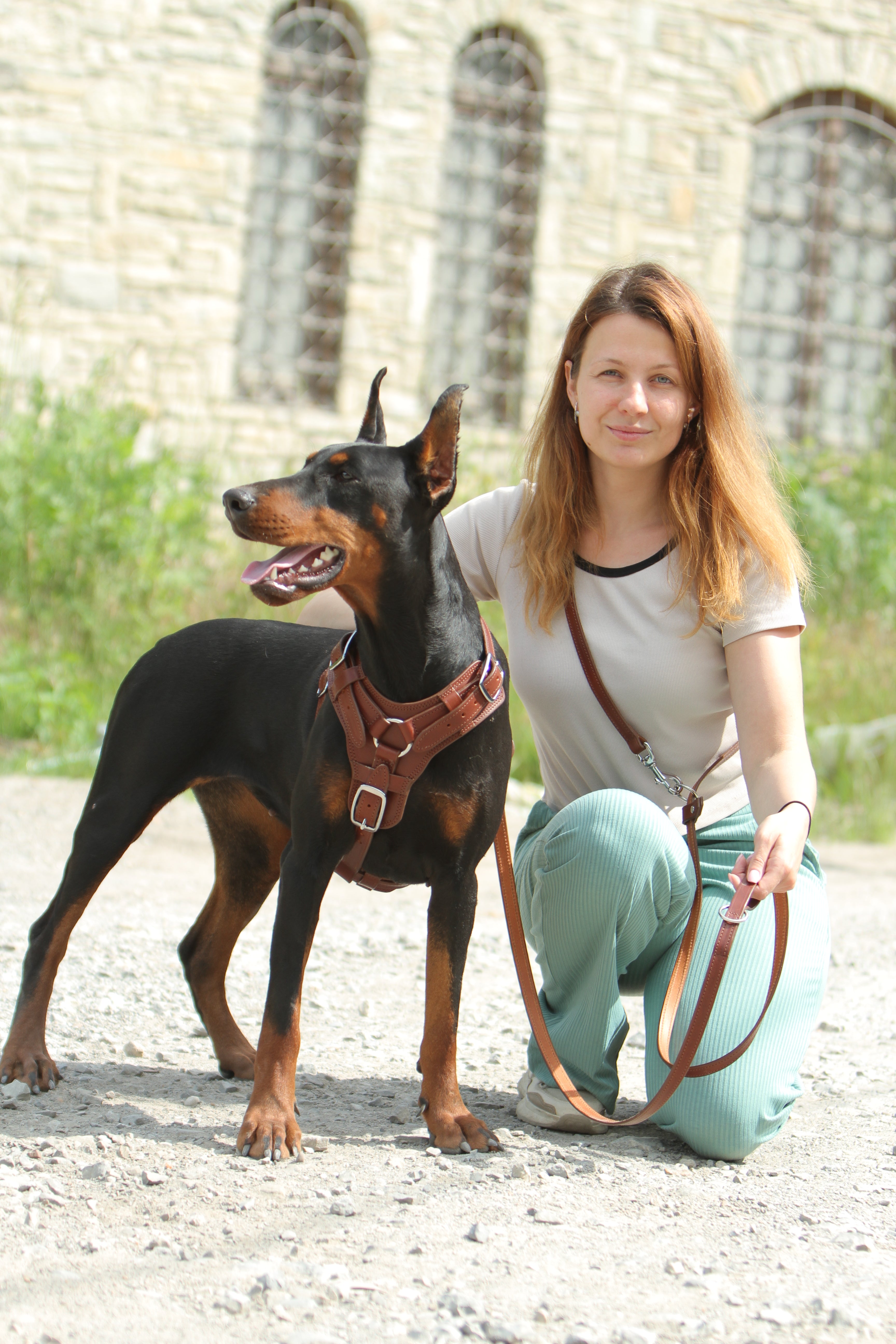 Personalized Leather Dog Harness and Leash Set