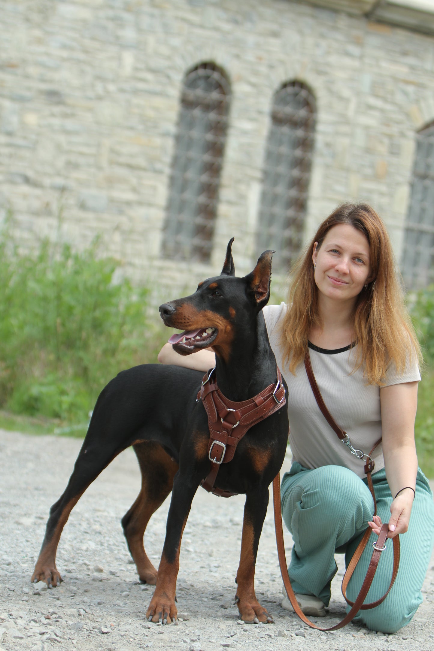 Brown Leather Dog Harness, Soft Padded, Comfortable Fit for Large Dogs