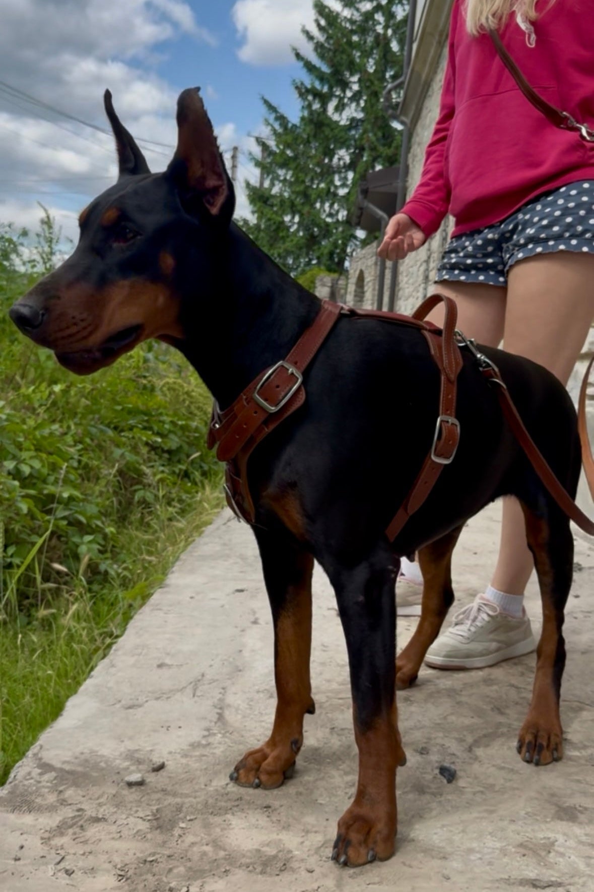 Personalized Leather Dog Harness and Leash Set