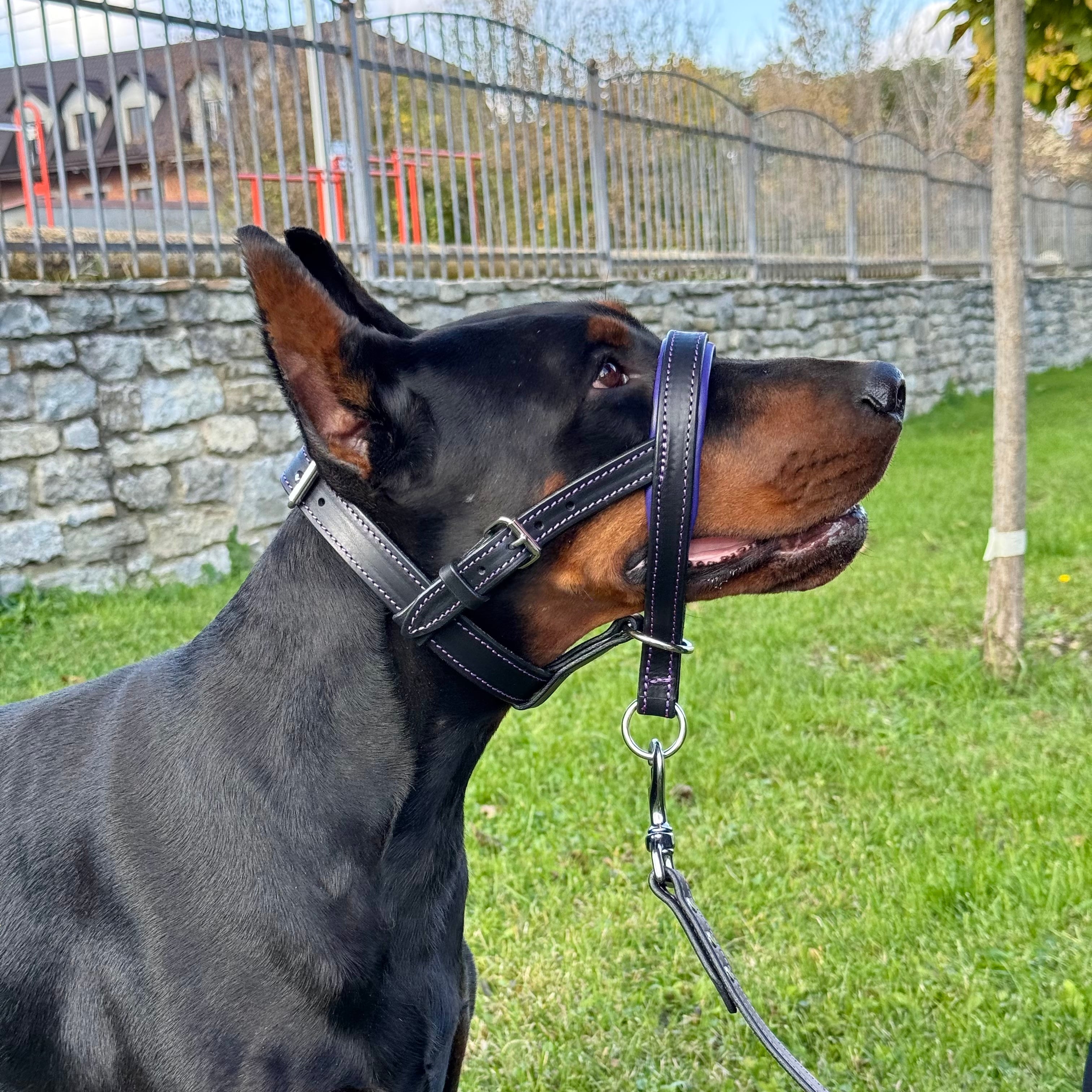 Leather No Pull Dog Head Collar