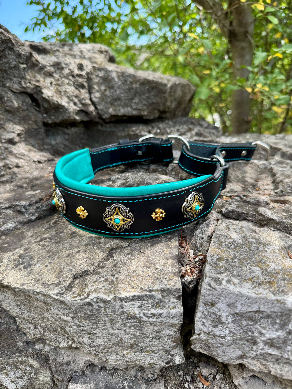 Leather Martingale Dog Collar for Large Dogs