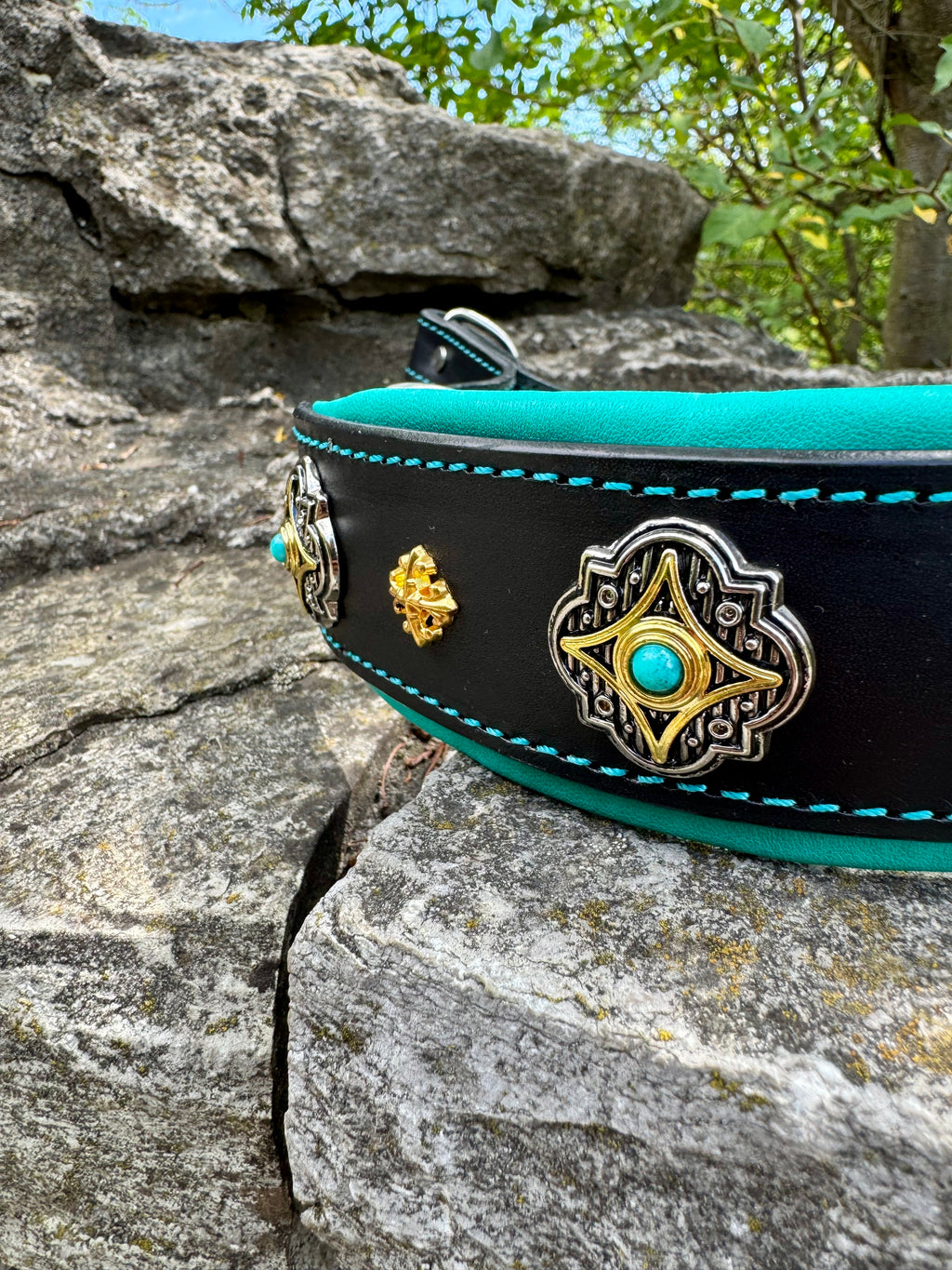 Leather Martingale Dog Collar for Large Dogs