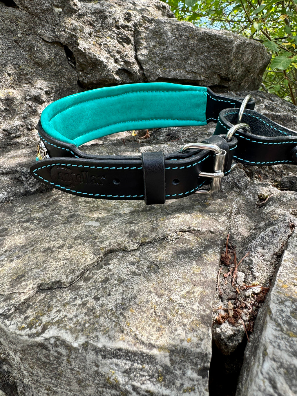 Leather Martingale Dog Collar for Large Dogs