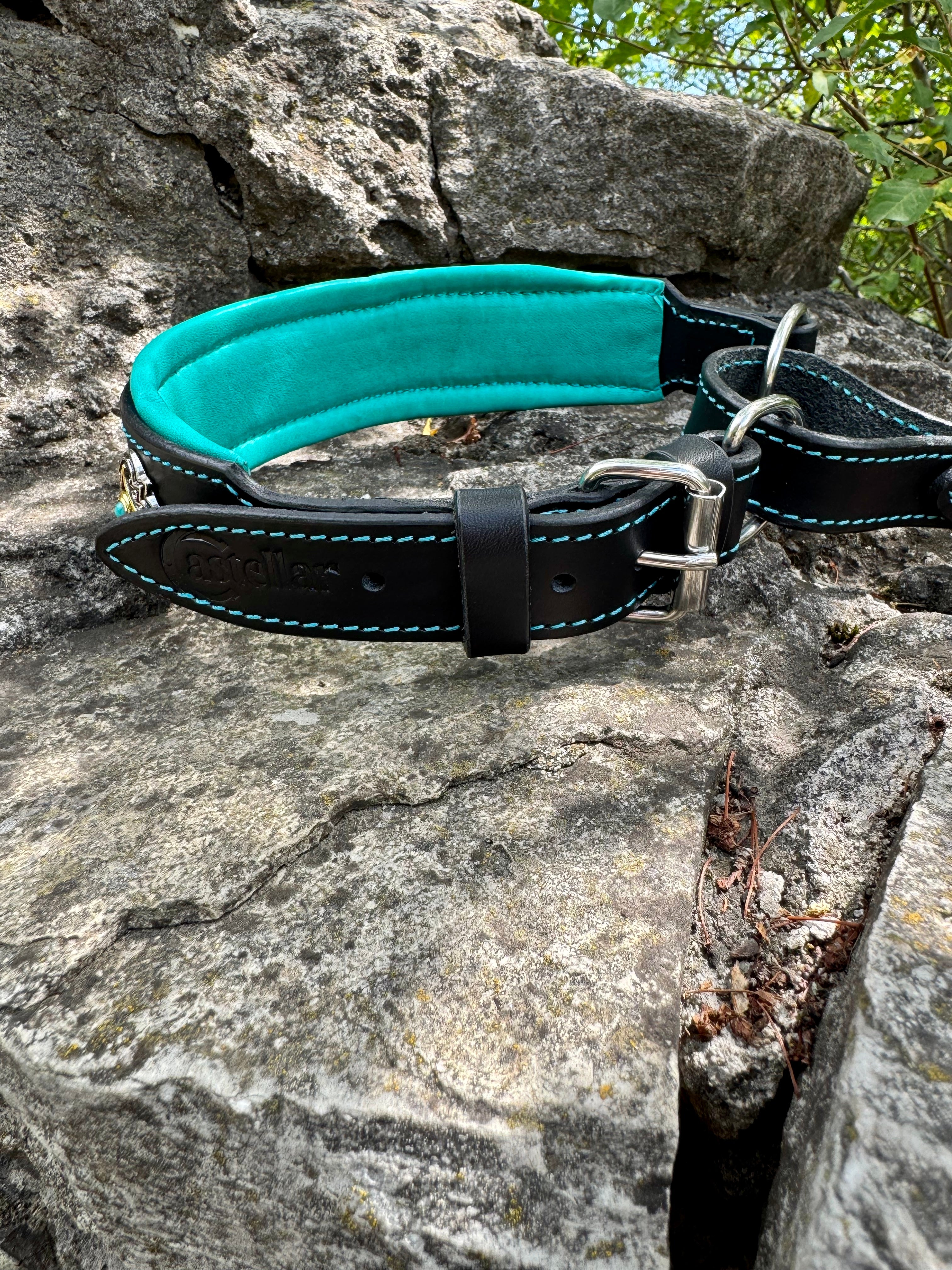 Leather Martingale Dog Collar for Large Dogs