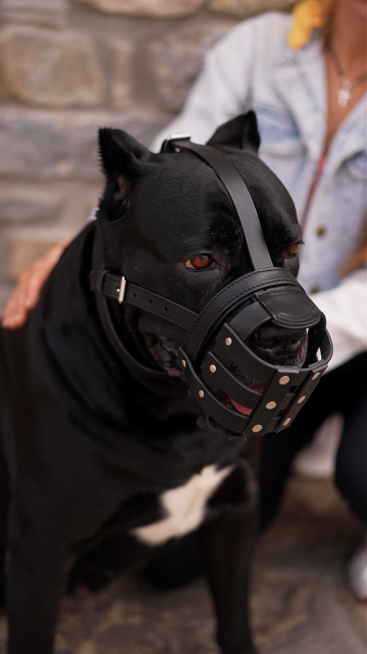 Leather Dog Walking Muzzle