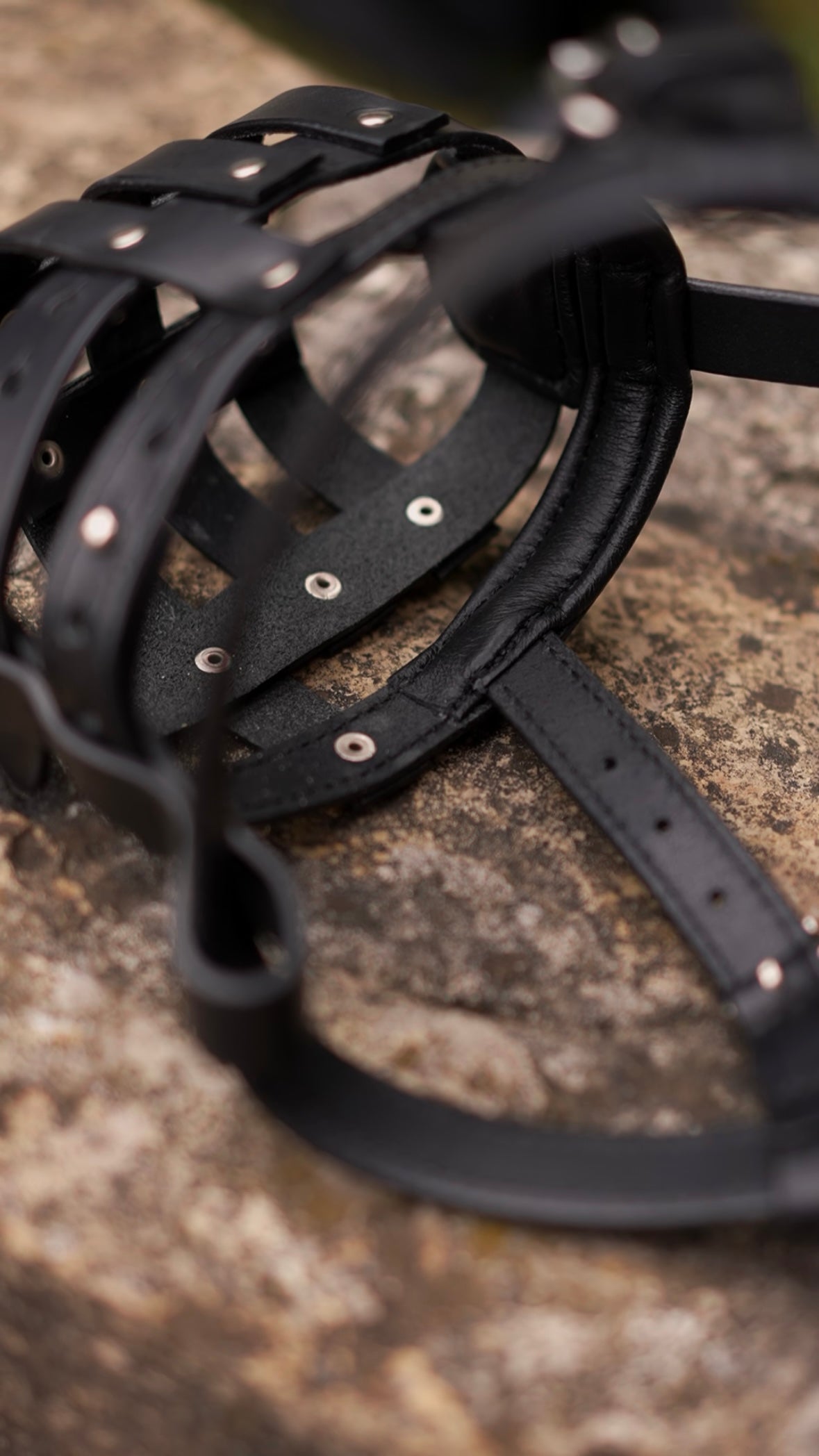 Leather Dog Walking Muzzle