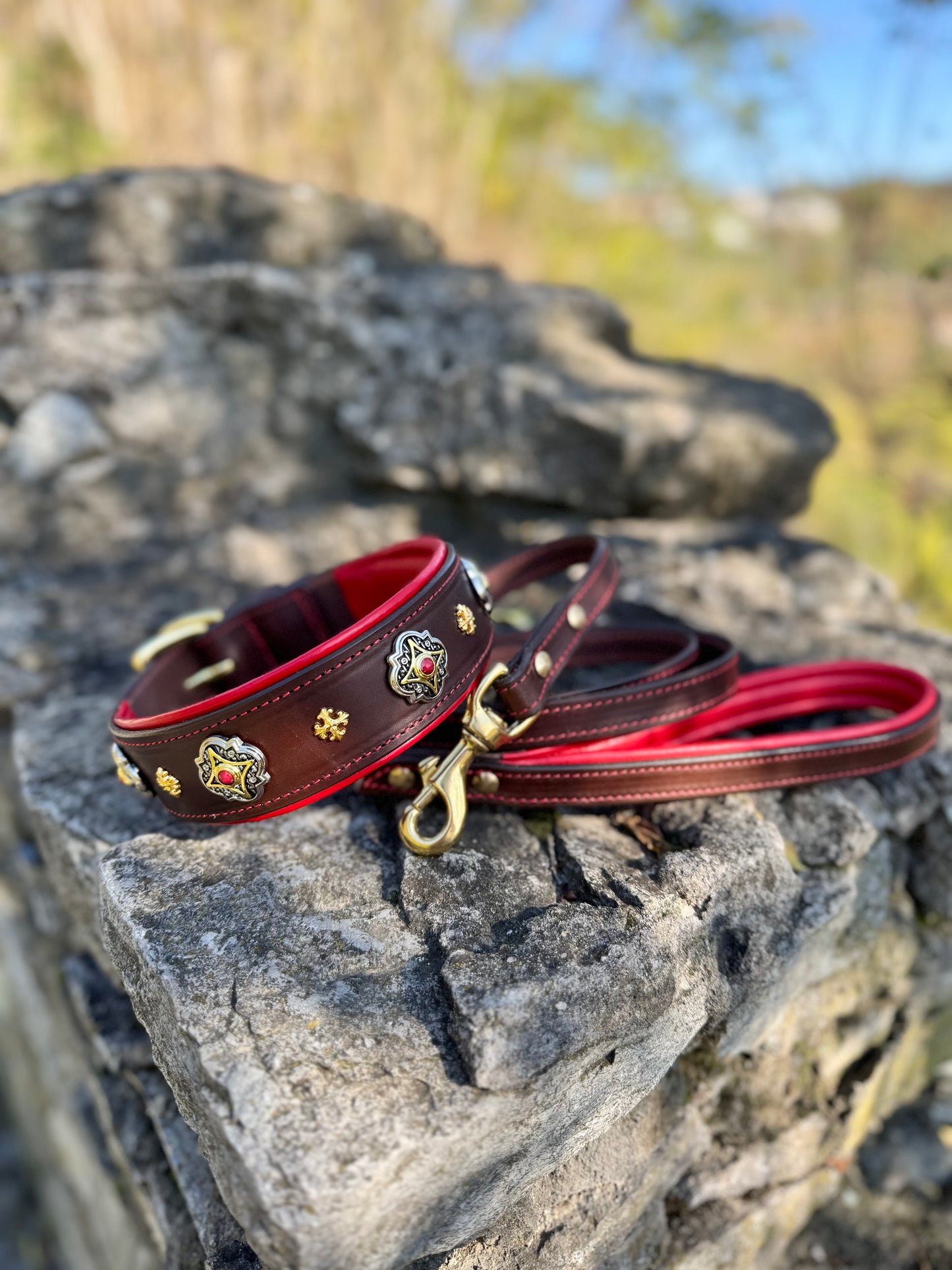 Luxury Leather Collar & Leash Set with Conchos, Perfect for Mastiff, Doberman