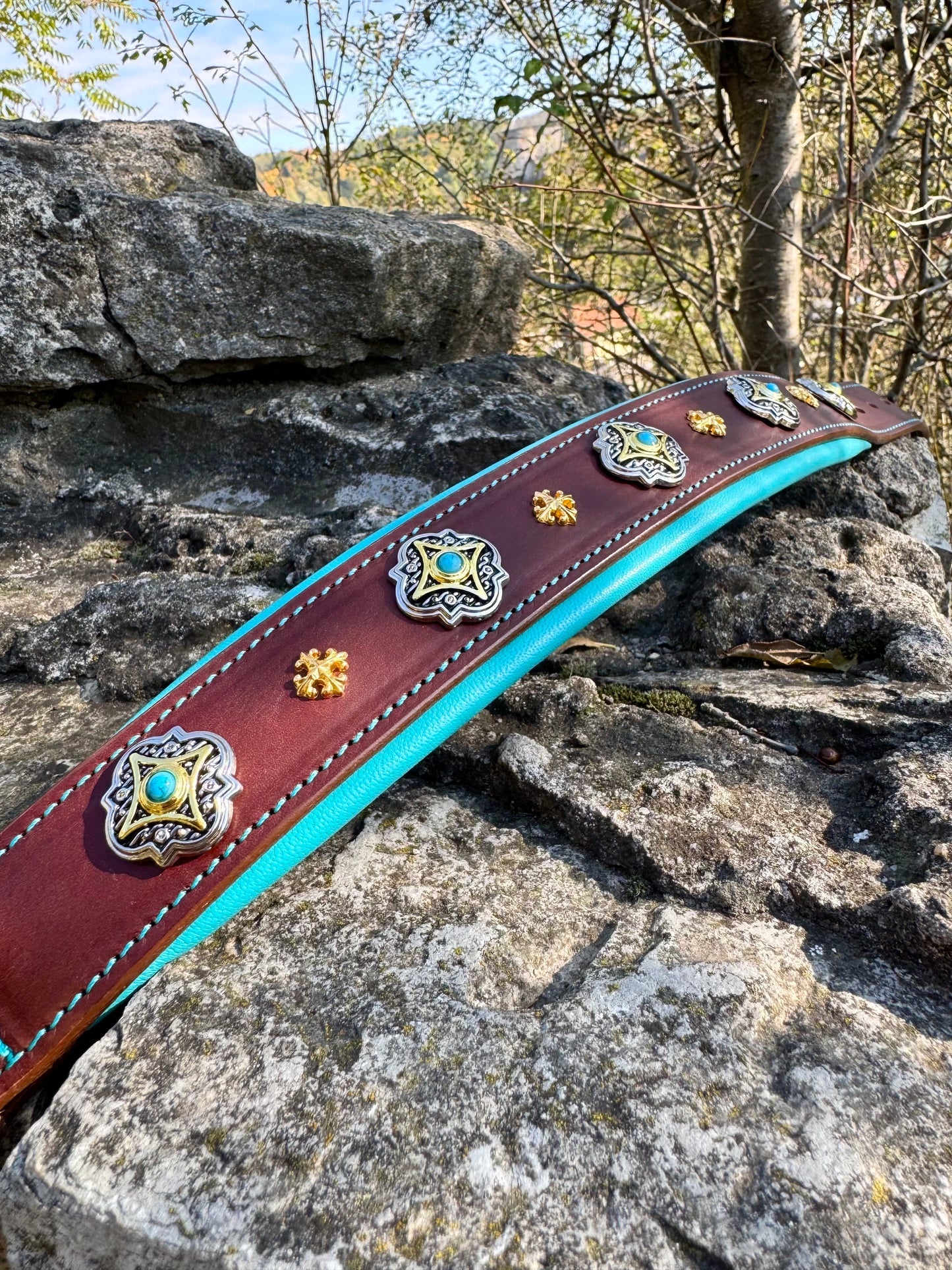 Brown Leather Dog Collar with Turquoise Soft Padding