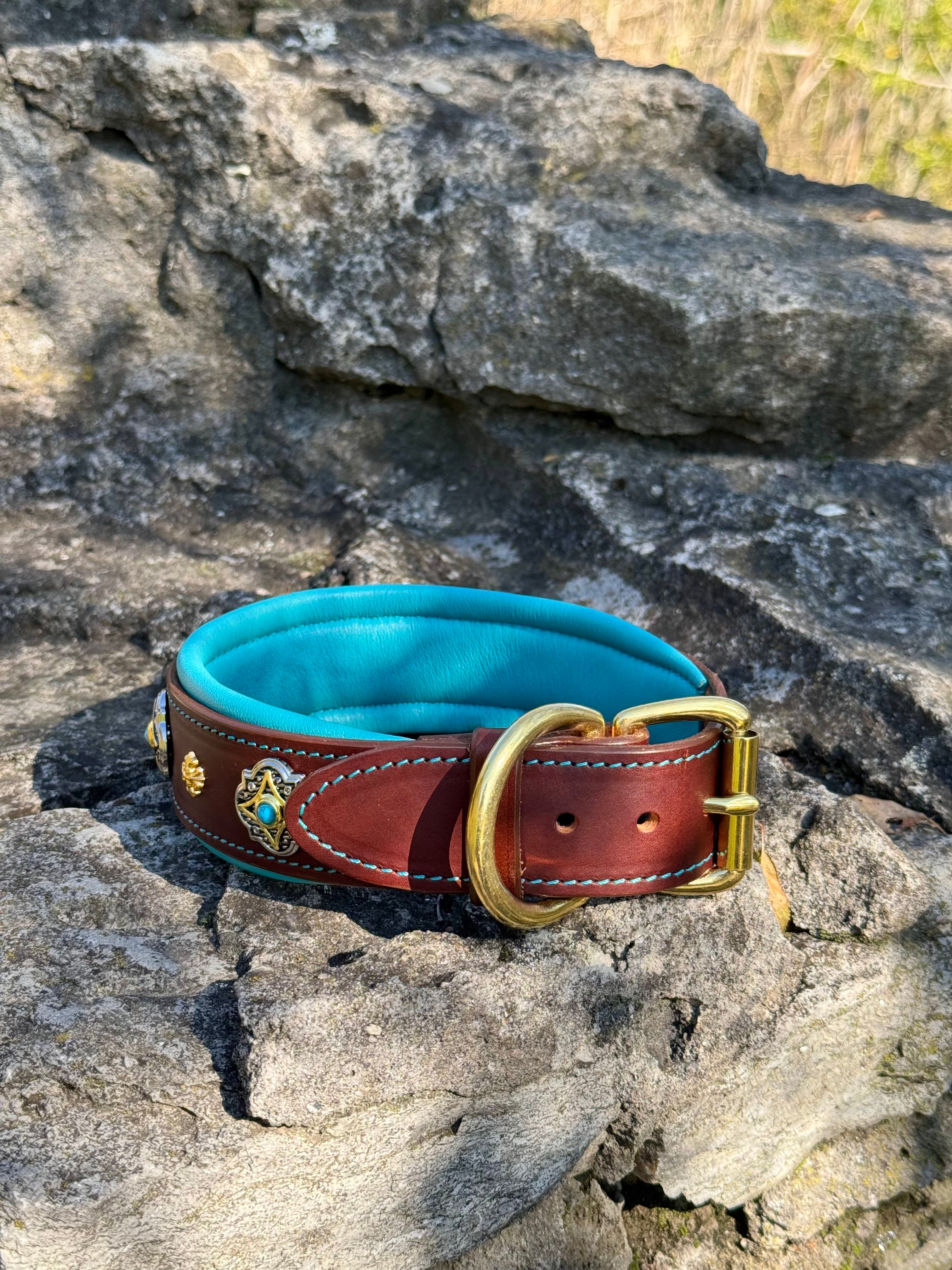 Brown Leather Dog Collar with Turquoise Soft Padding