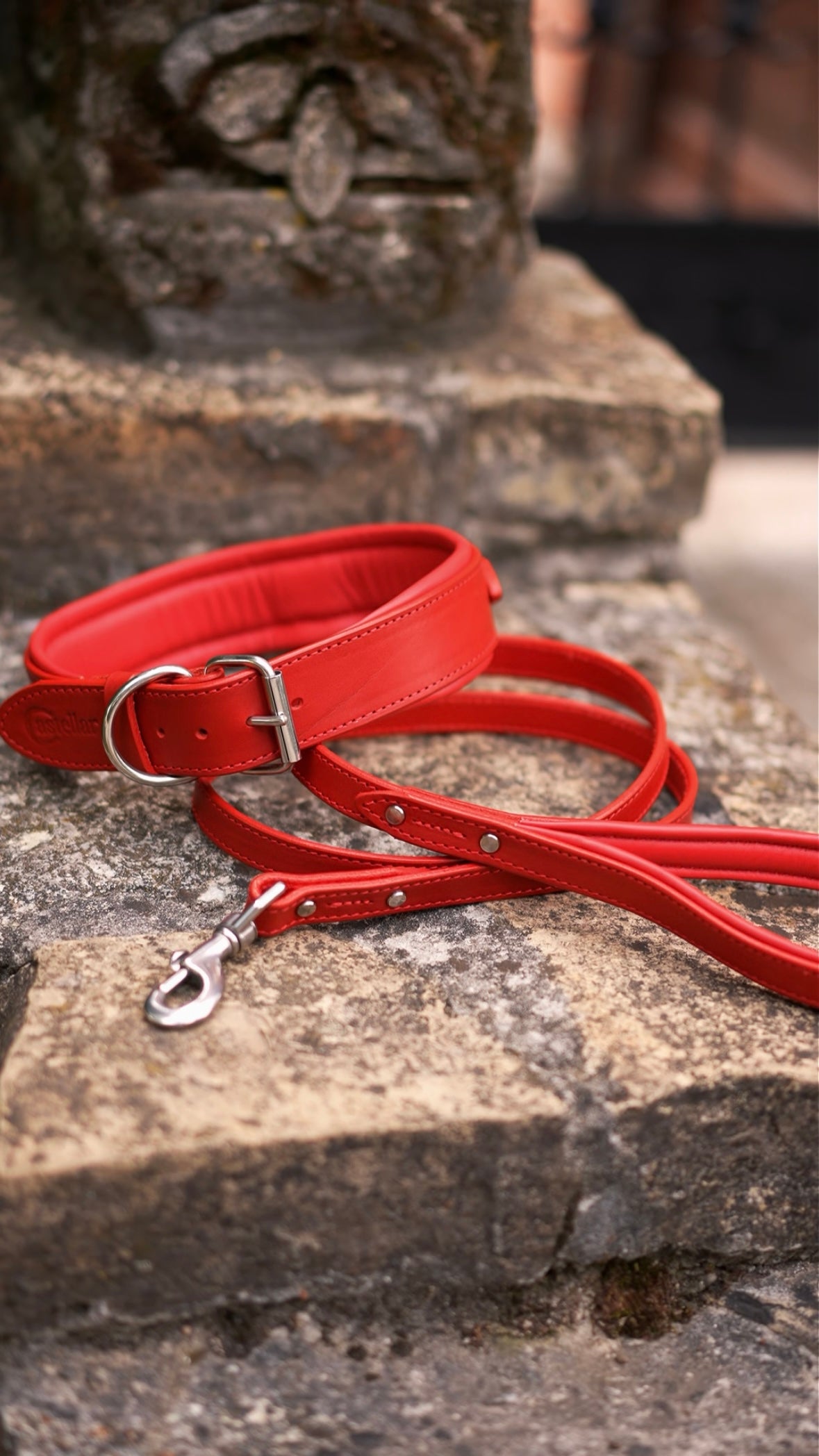 Handle Leather Dog Collar