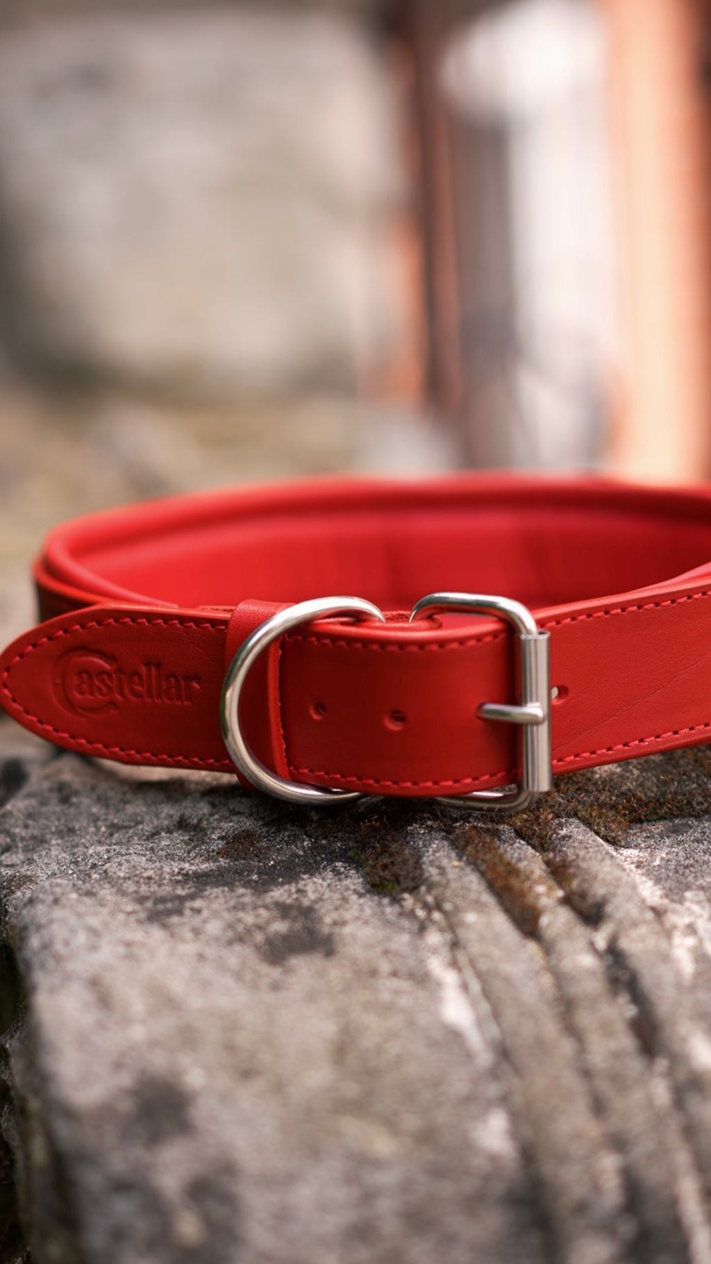 Comfort Edition – Red Leather Dog Collar with Control Handle