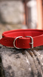 Comfort Edition – Red Leather Dog Collar with Control Handle