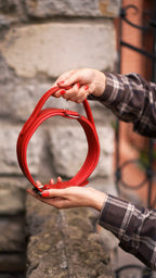 Comfort Edition – Red Leather Dog Collar with Control Handle