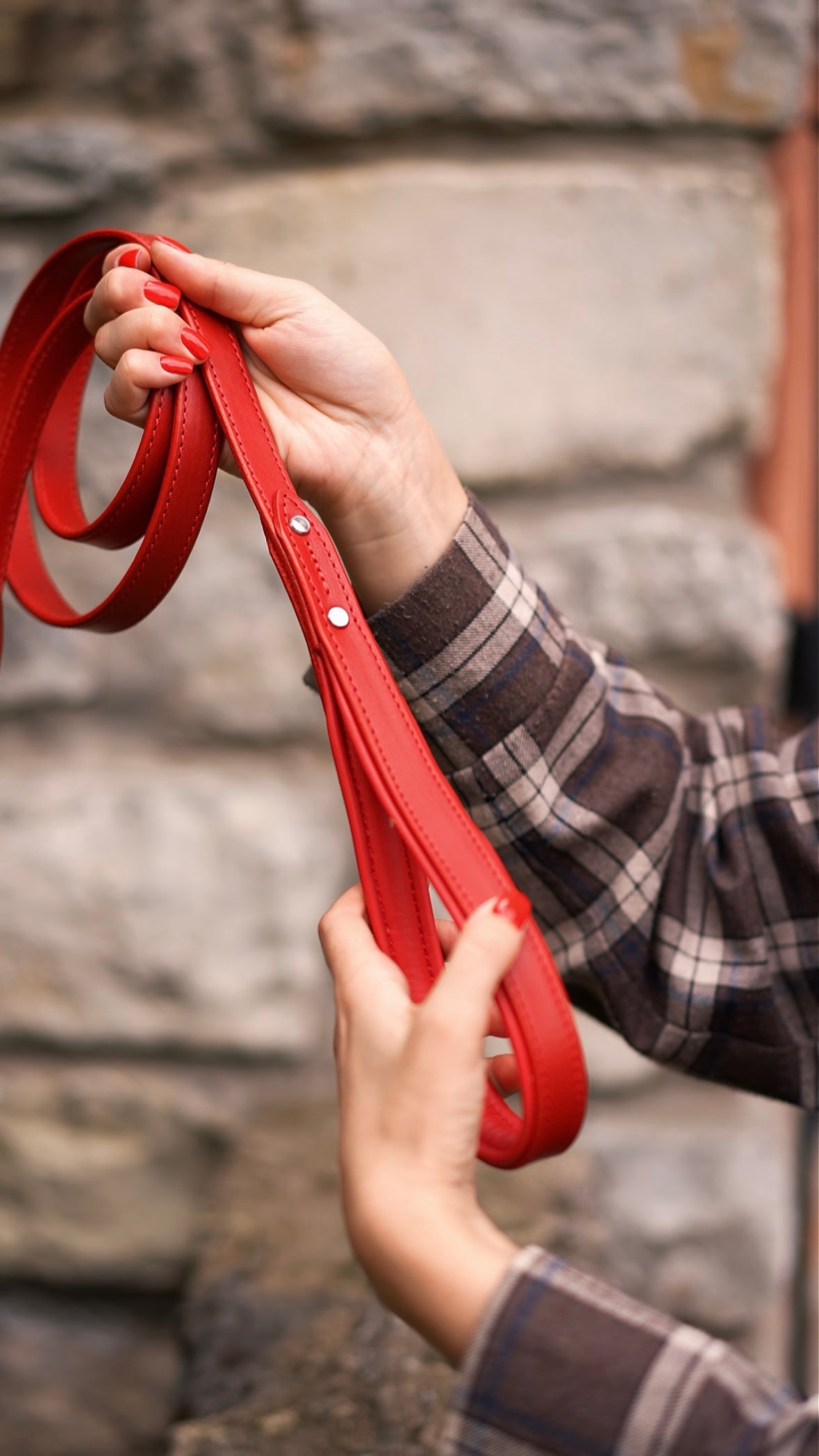 Handle Leather Dog Collar