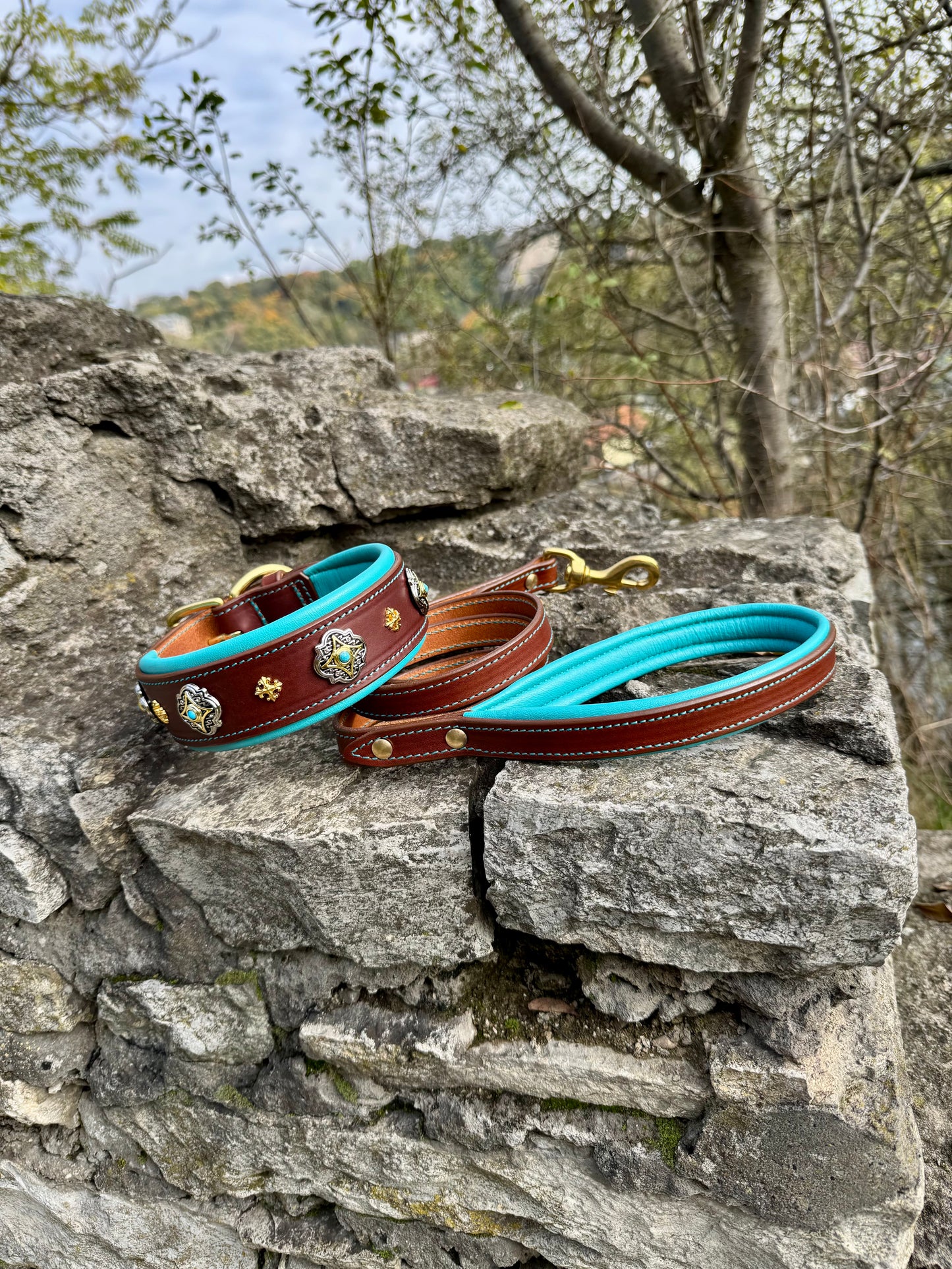 Padded Leather Collar and Leash Set with Conchos for Large Dogs — Doberman, Dane