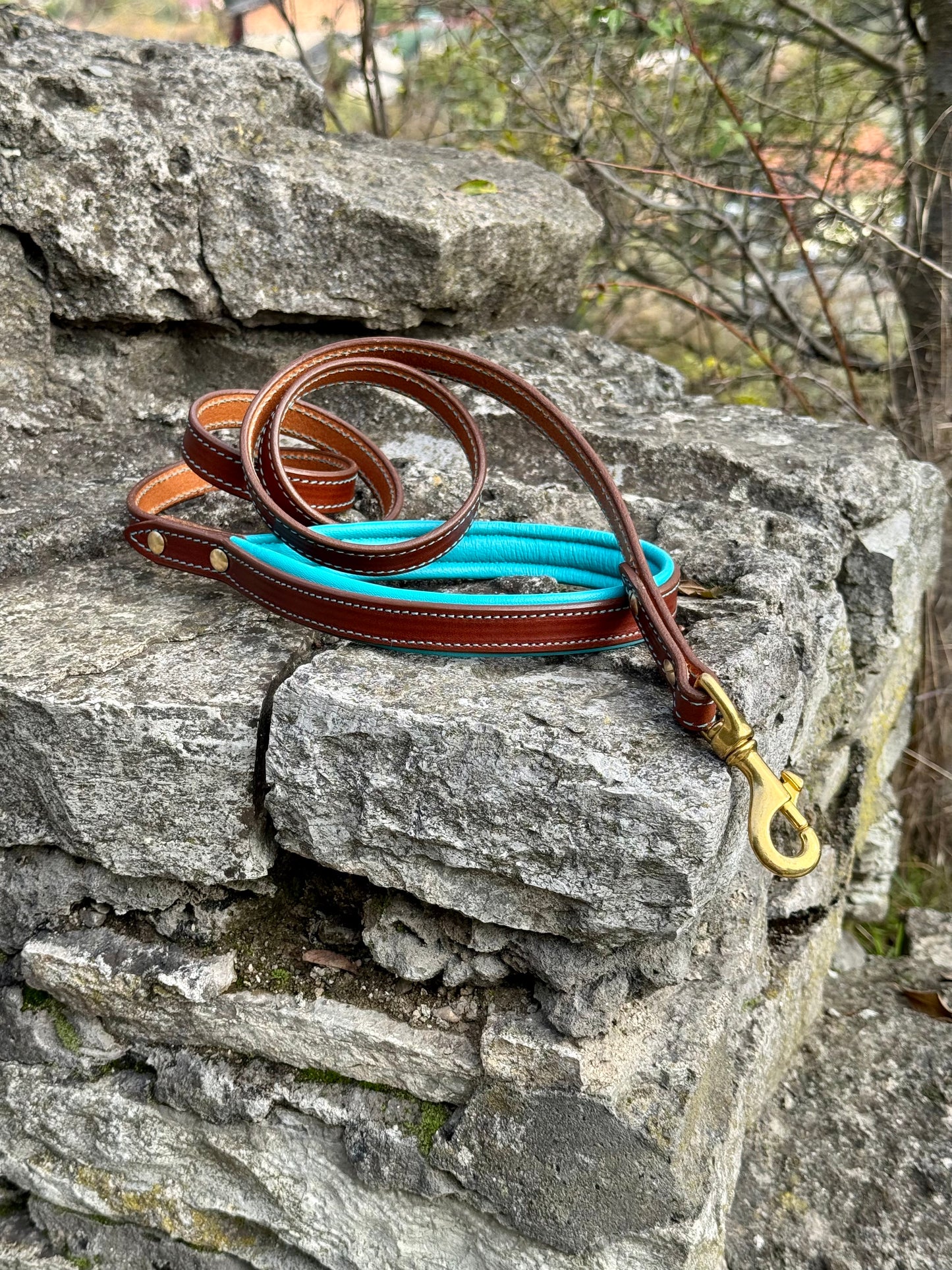 Padded Leather Collar and Leash Set with Conchos for Large Dogs — Doberman, Dane