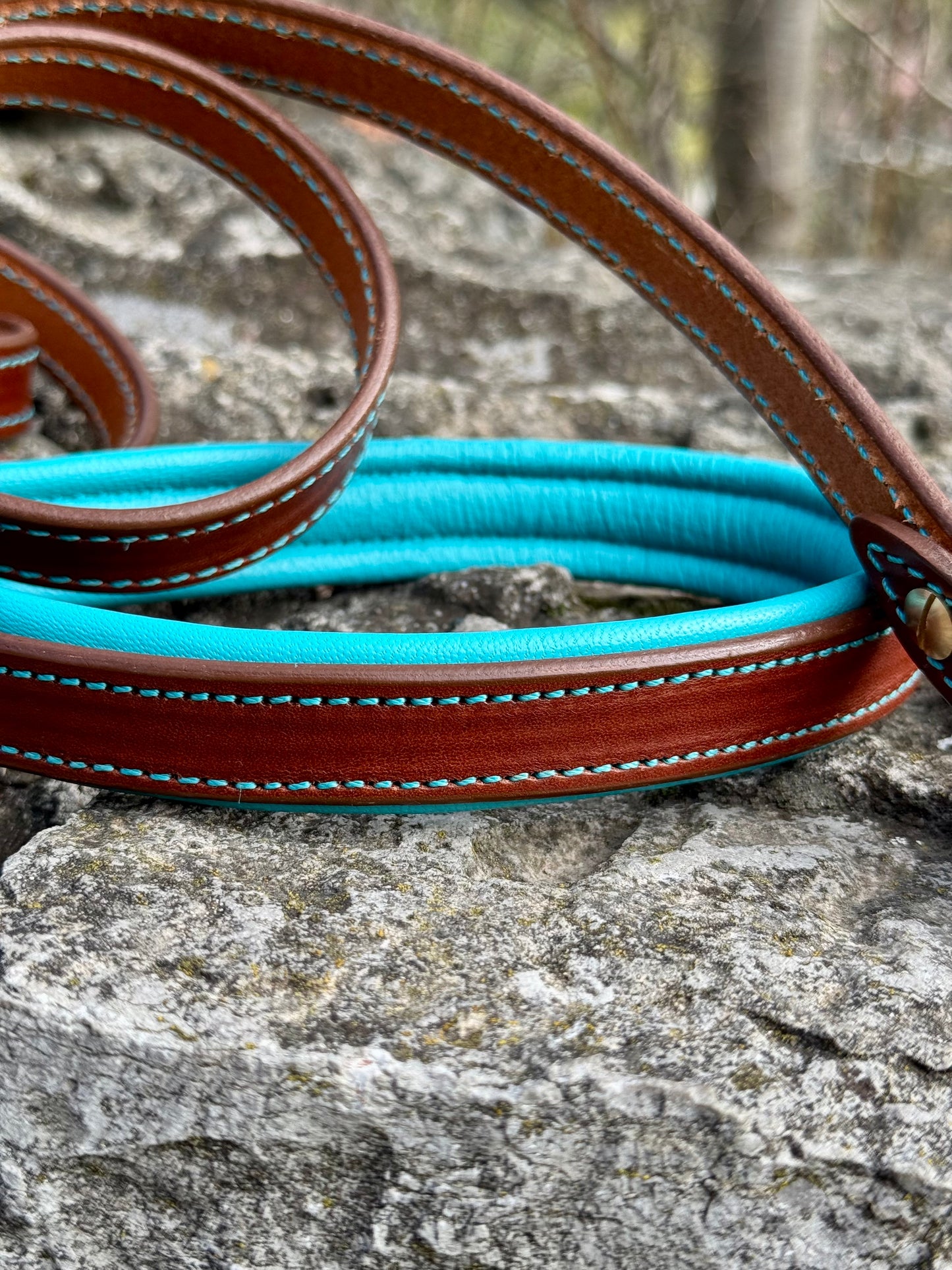 Padded Leather Collar and Leash Set with Conchos for Large Dogs — Doberman, Dane