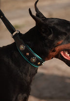 Leather Martingale Dog Collar for Large Dogs