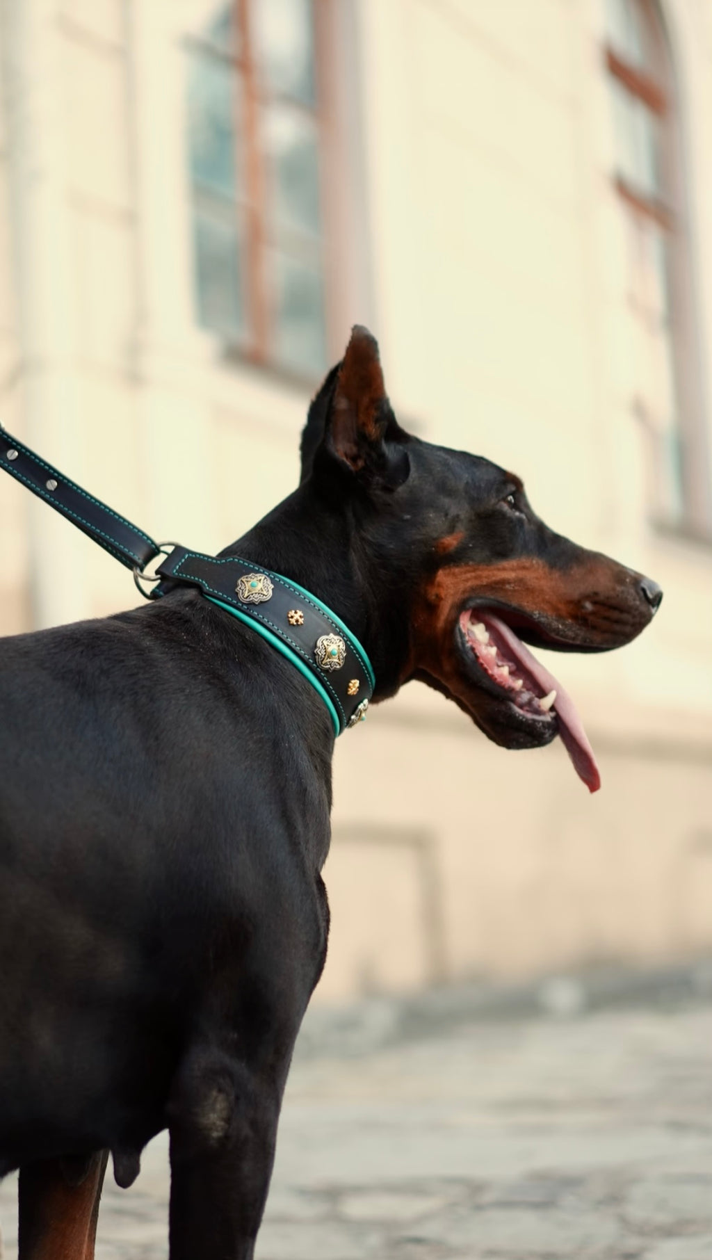 Leather Martingale Dog Collar for Large Dogs