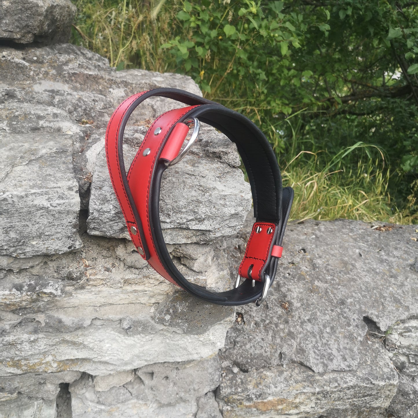 Red Leather Padded Dog Collar with Handle