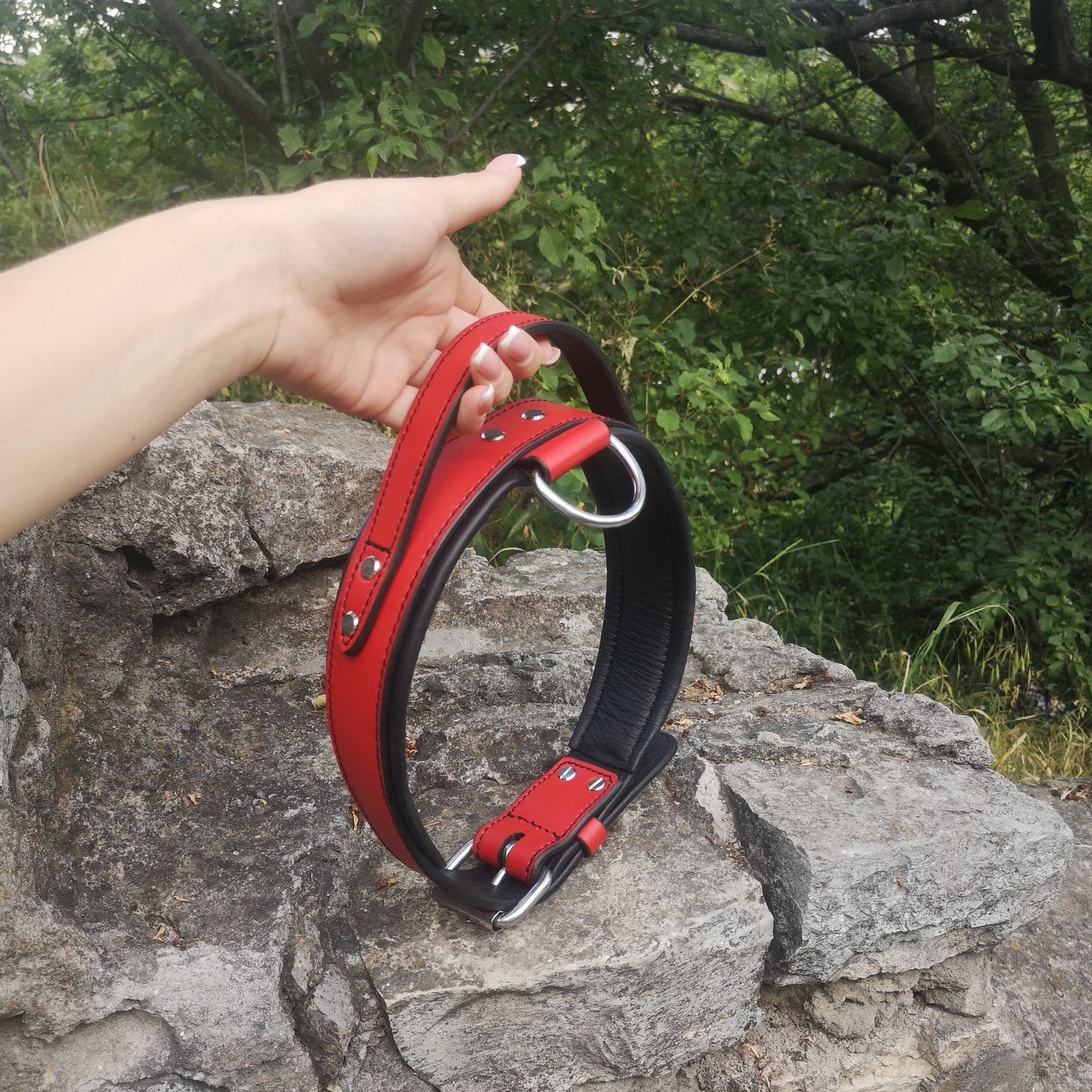 Red Leather Padded Dog Collar with Handle