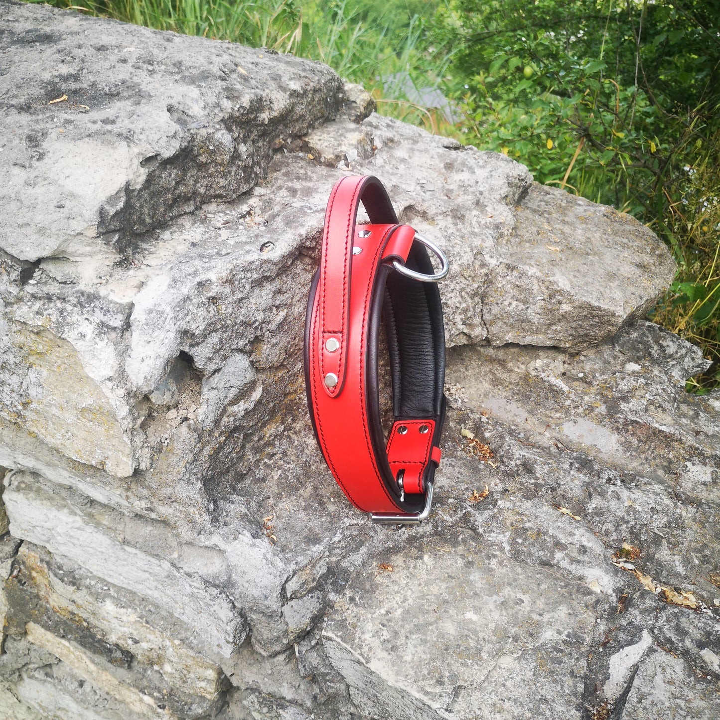 Red Leather Padded Dog Collar with Handle