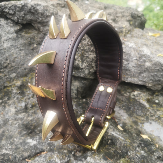 Unique Spiked Leather Dog Collar