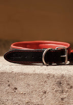 Padded Handle Leather Dog Collar for Large Breeds | Heavy-Duty Training & Control