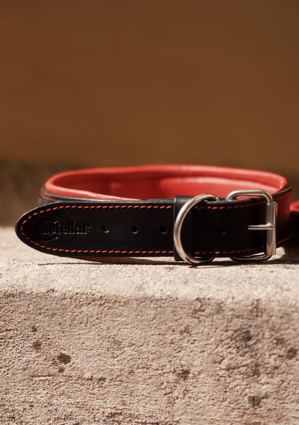 Padded Handle Leather Dog Collar for Large Breeds | Heavy-Duty Training & Control