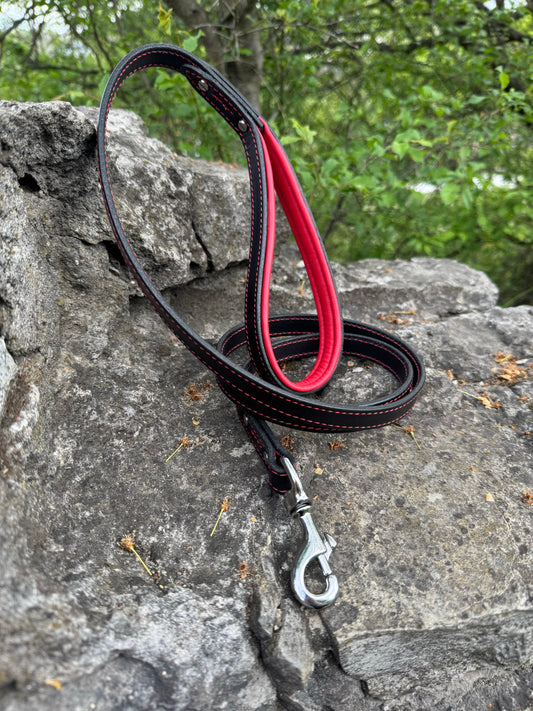 Castellar Leash with Soft Padded Handle