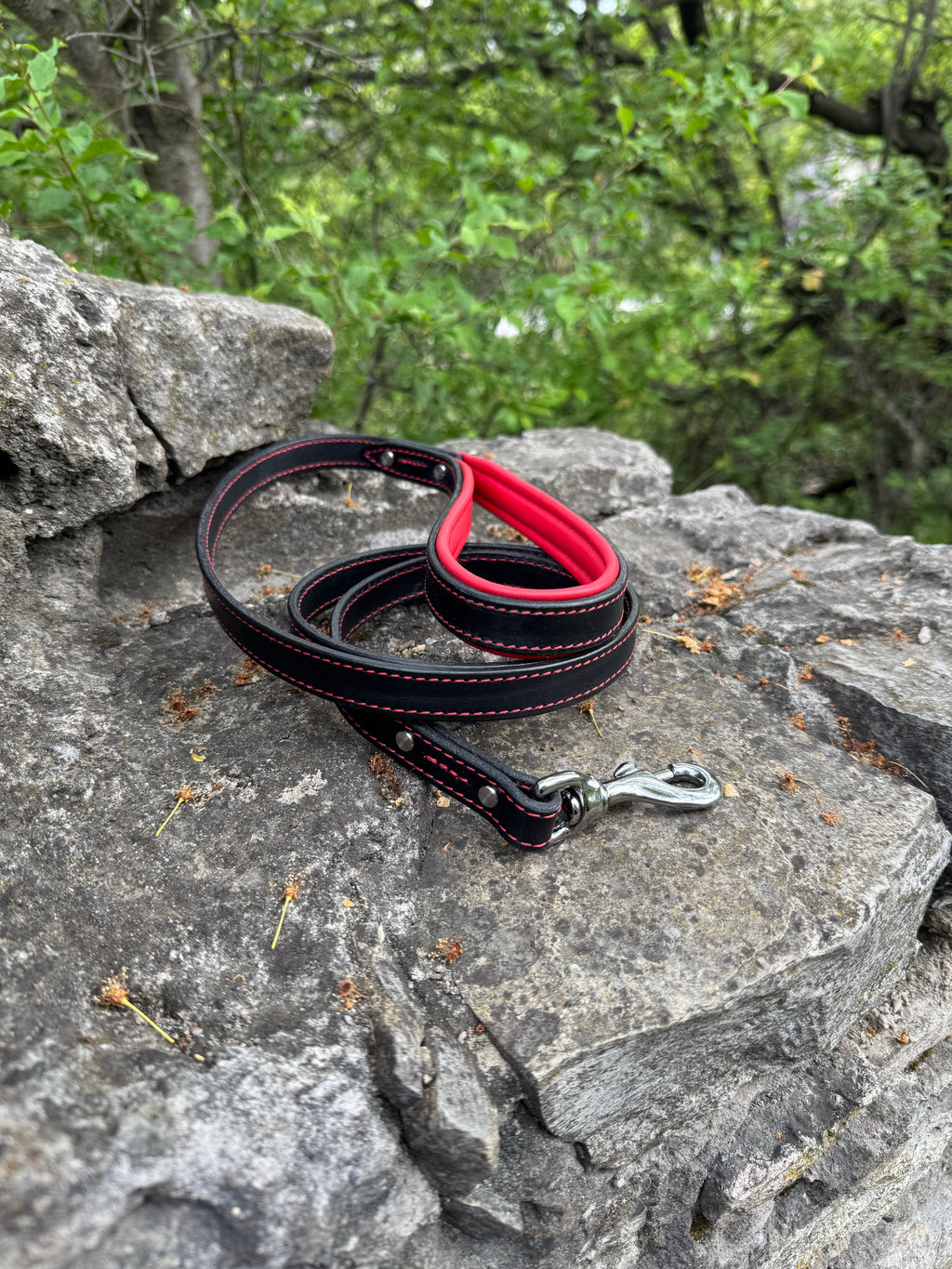 Castellar Leash with Soft Padded Handle