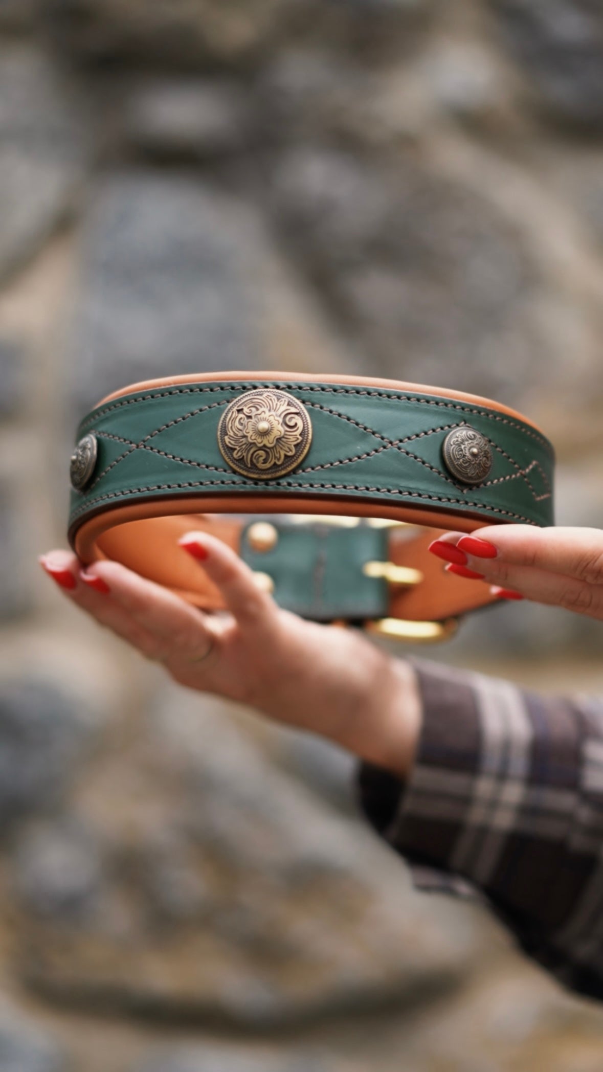 Western dog collars with conchos