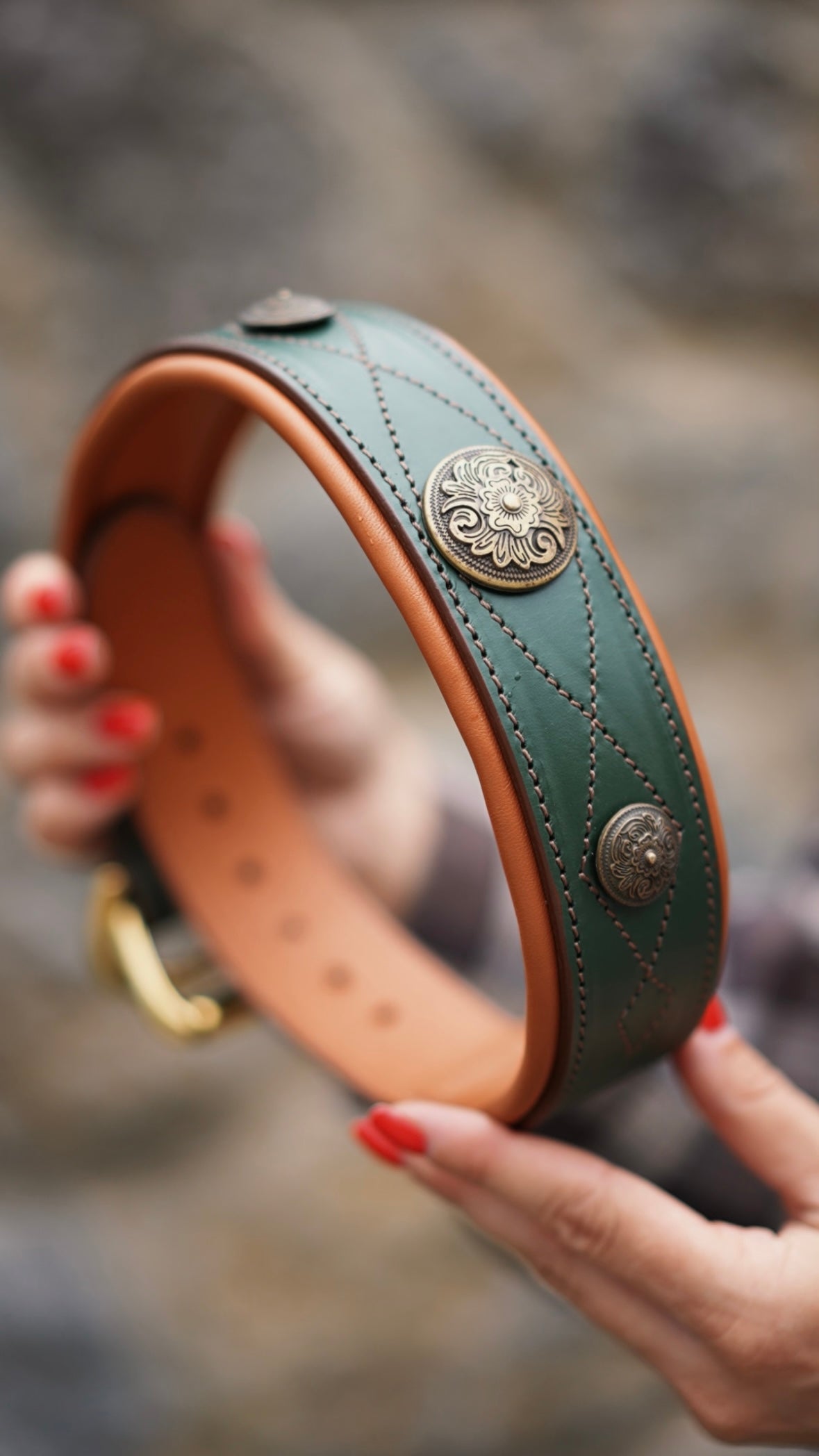 Western dog collars with conchos