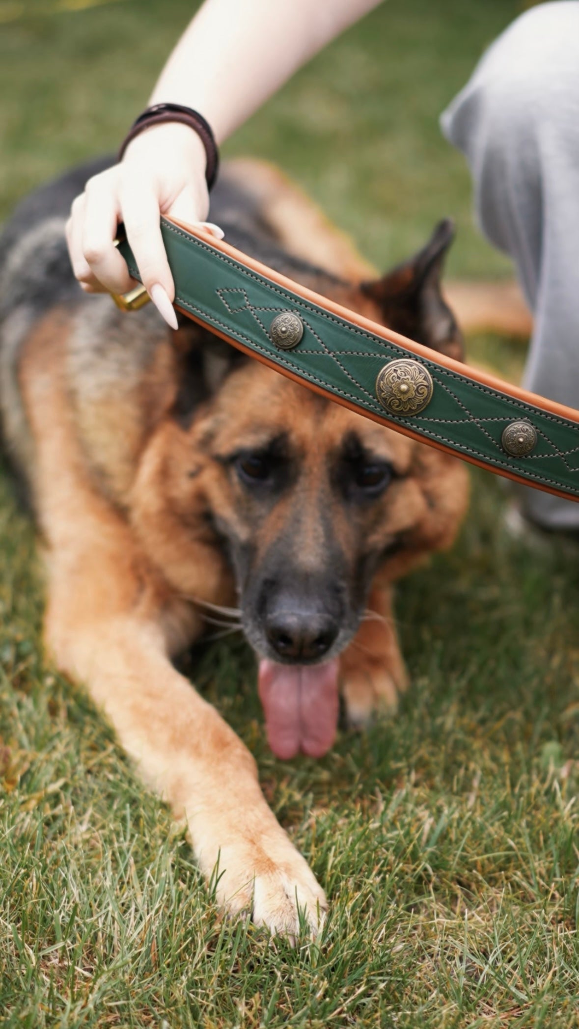 Western dog collars with conchos