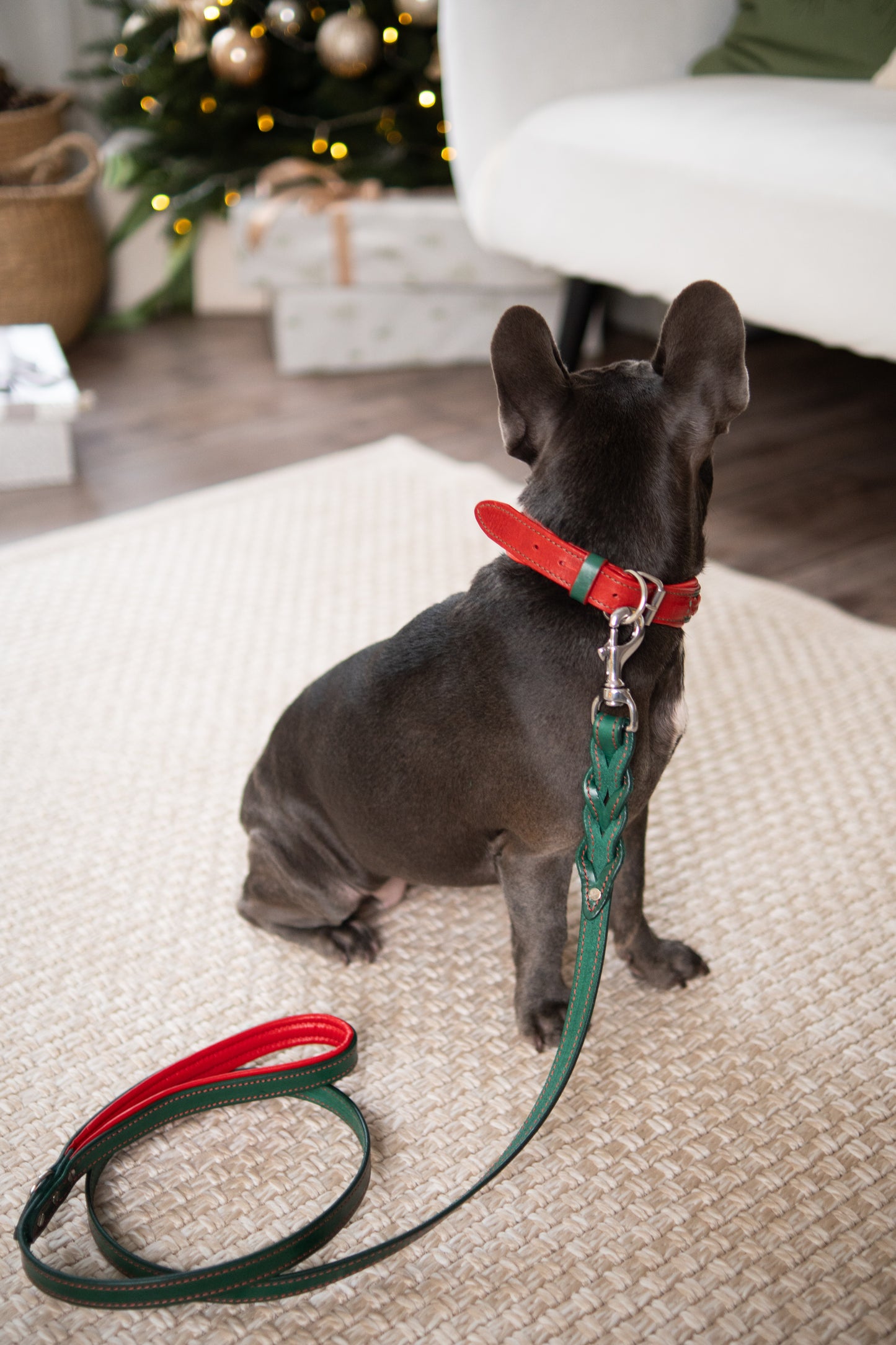 Christmas braided leather dog collar and leash set