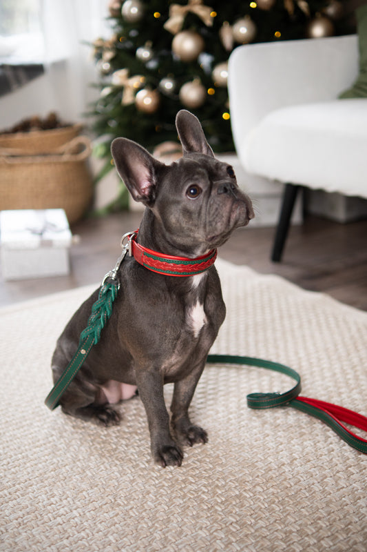 Christmas braided leather dog collar and leash set
