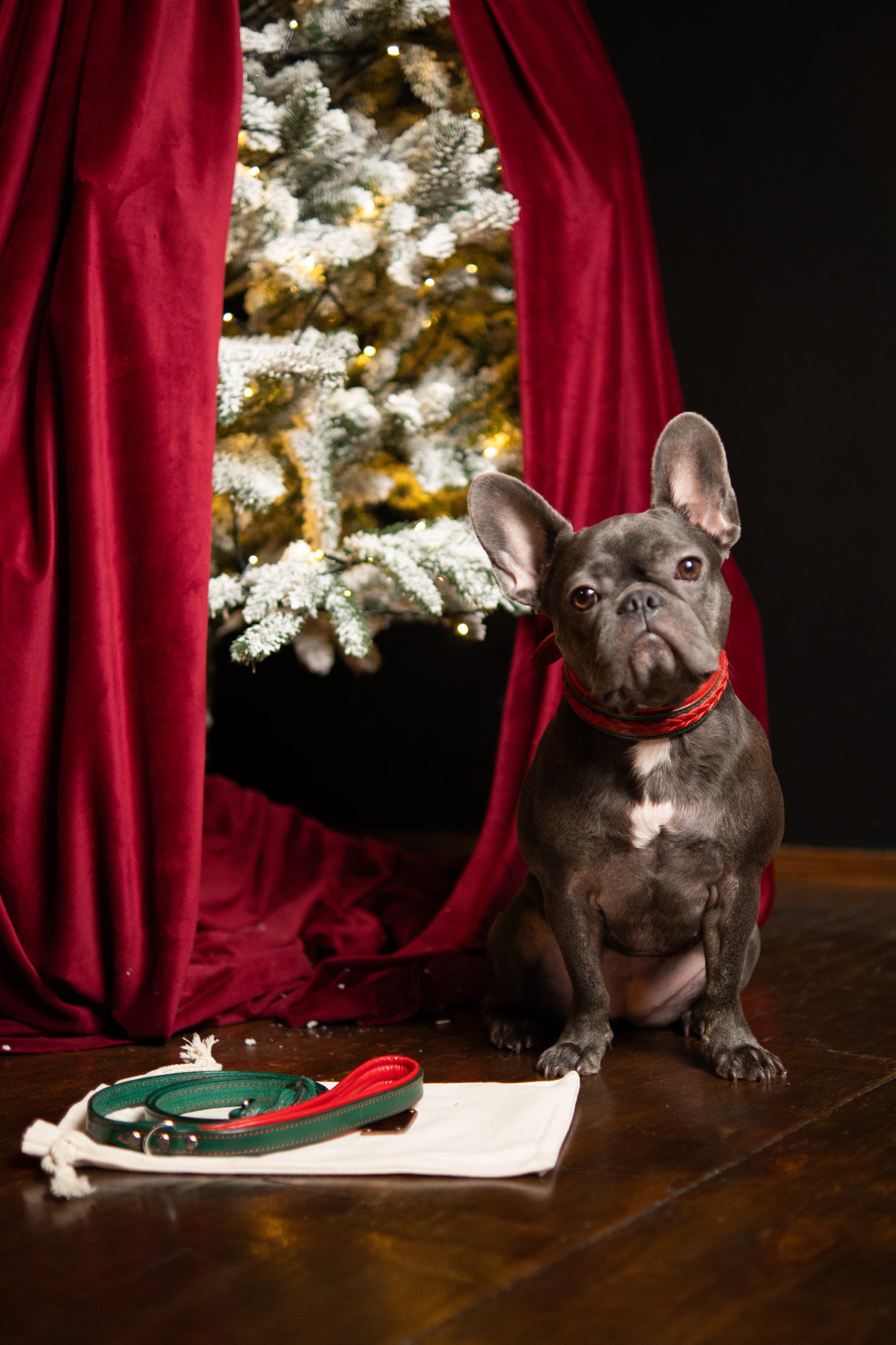 Christmas braided leather dog collar and leash set