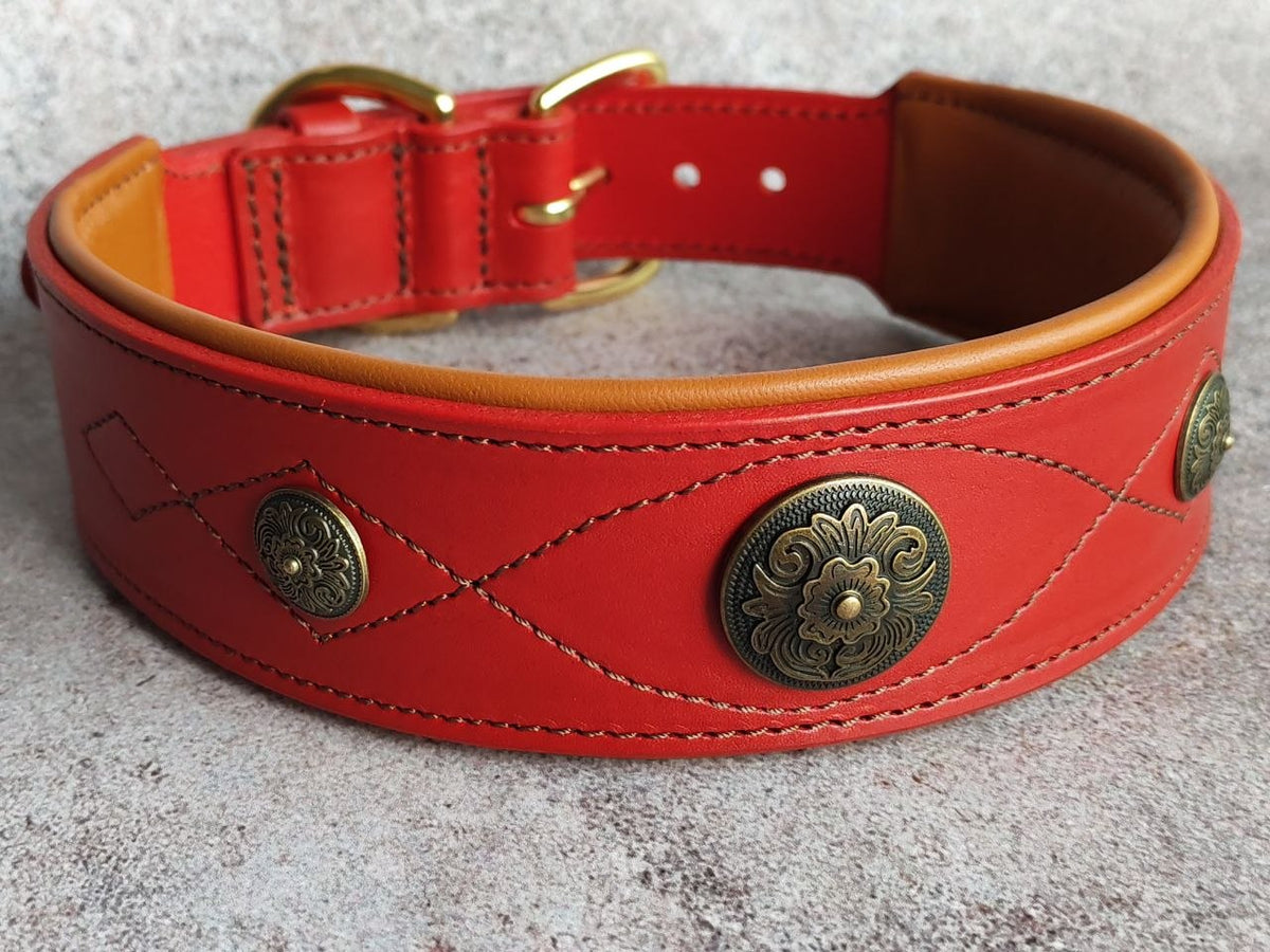 Western dog collars with conchos