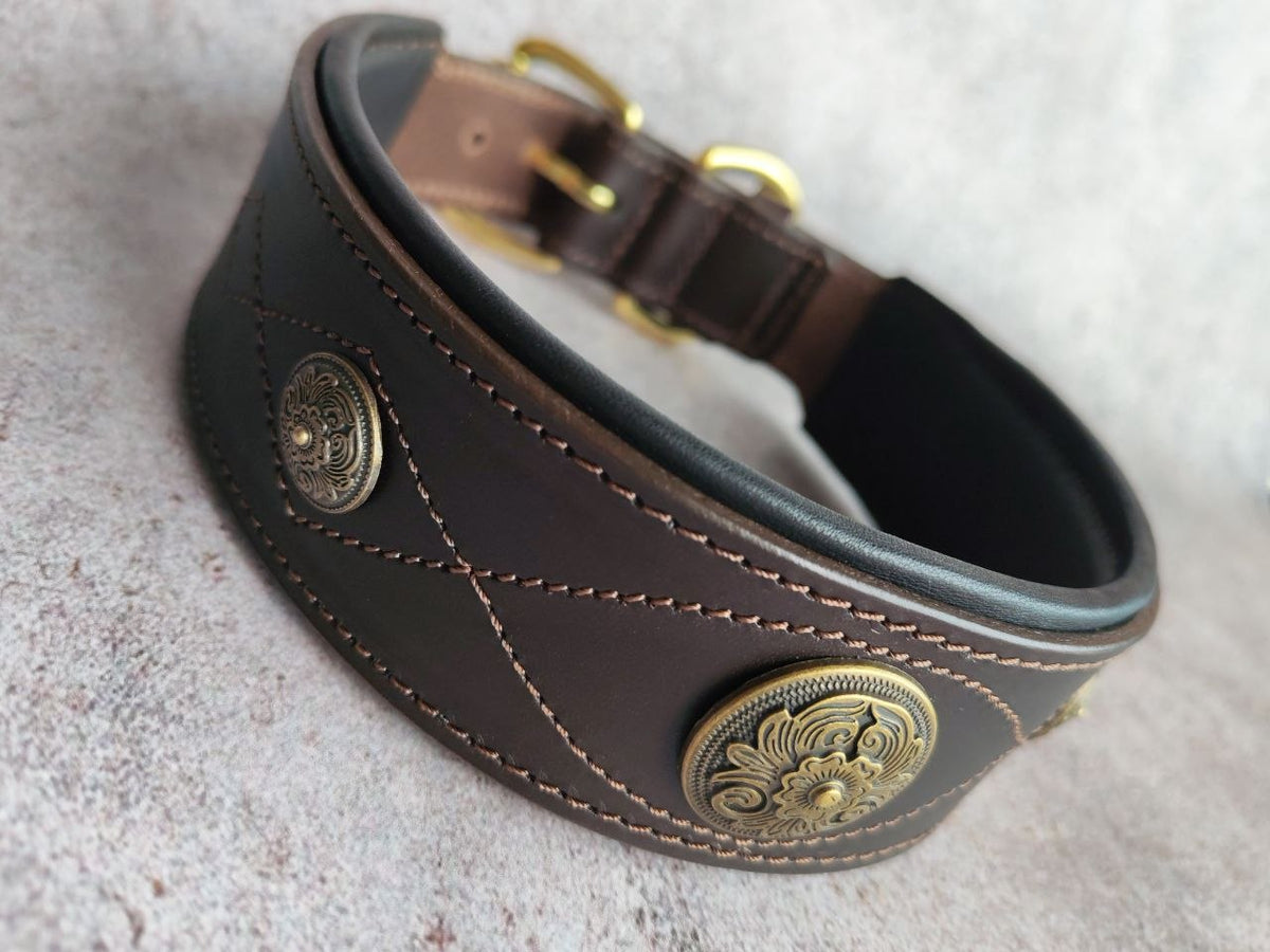 Western dog collars with conchos