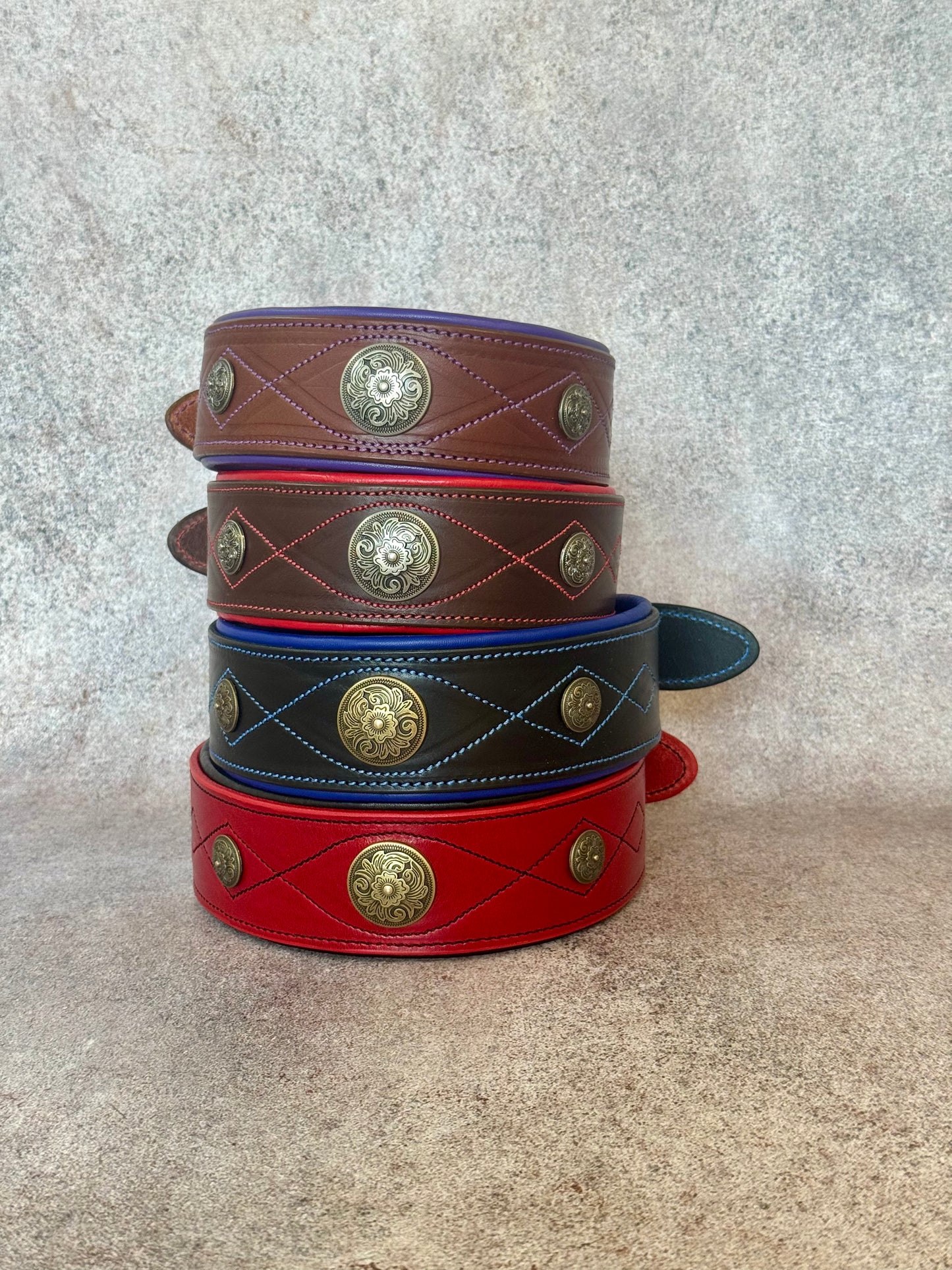 Wide Leather Dog Collar with Brass Medallions, Padded, Multi Color