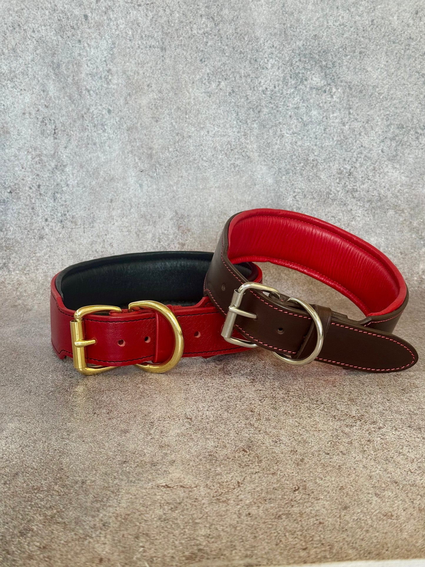 Wide Leather Dog Collar with Brass Medallions, Padded, Multi Color