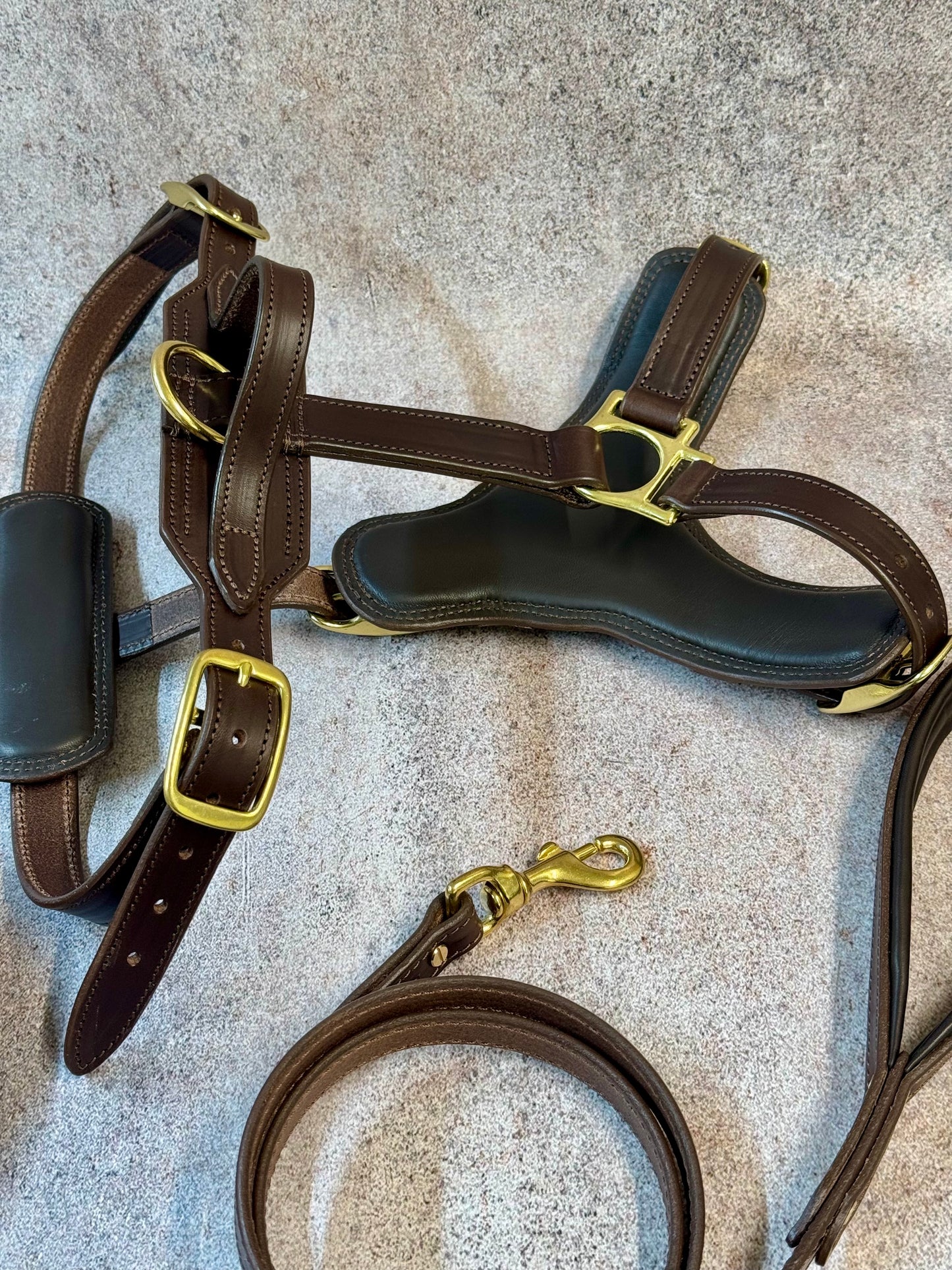 Luxury Leather Dog Harness with Brass Hardware