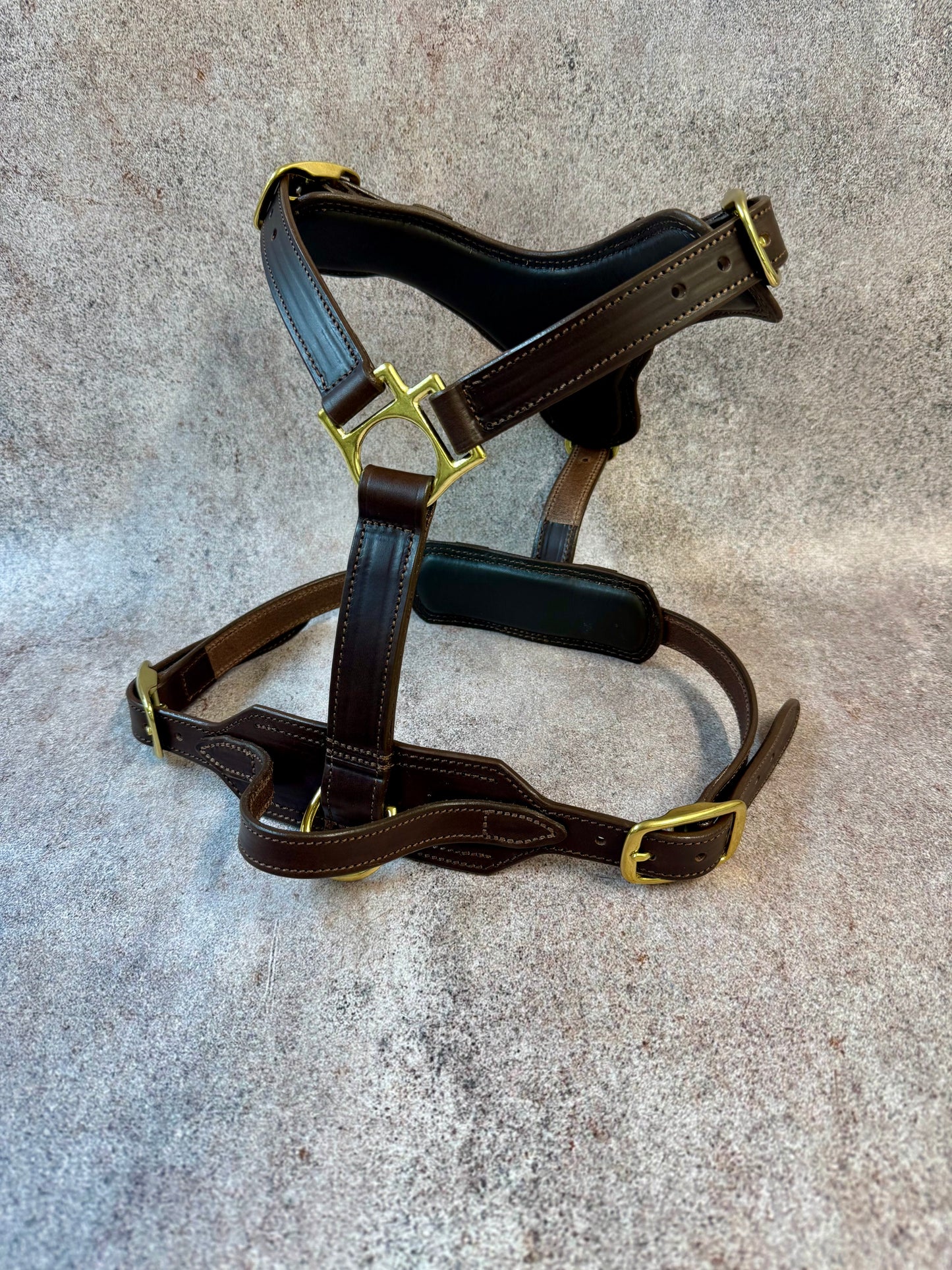 Luxury Leather Dog Harness with Brass Hardware