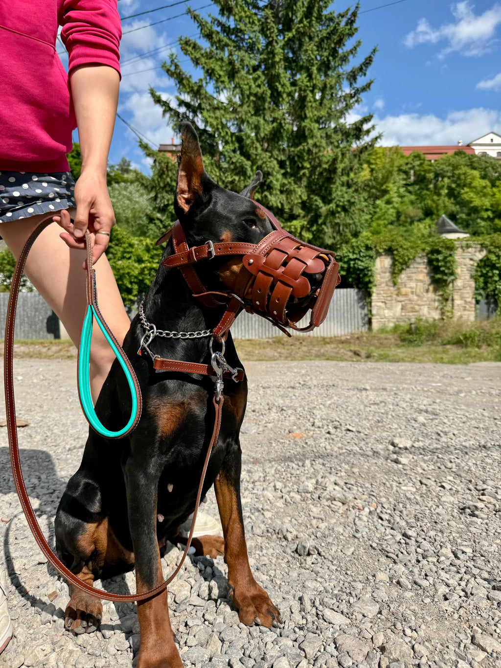 Dog Muzzle and Head Collar Set, Large Dog Muzzle Near Me