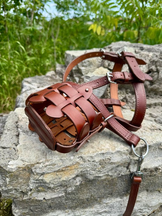 Dog Muzzle and Head Collar Set, Large Dog Muzzle Near Me
