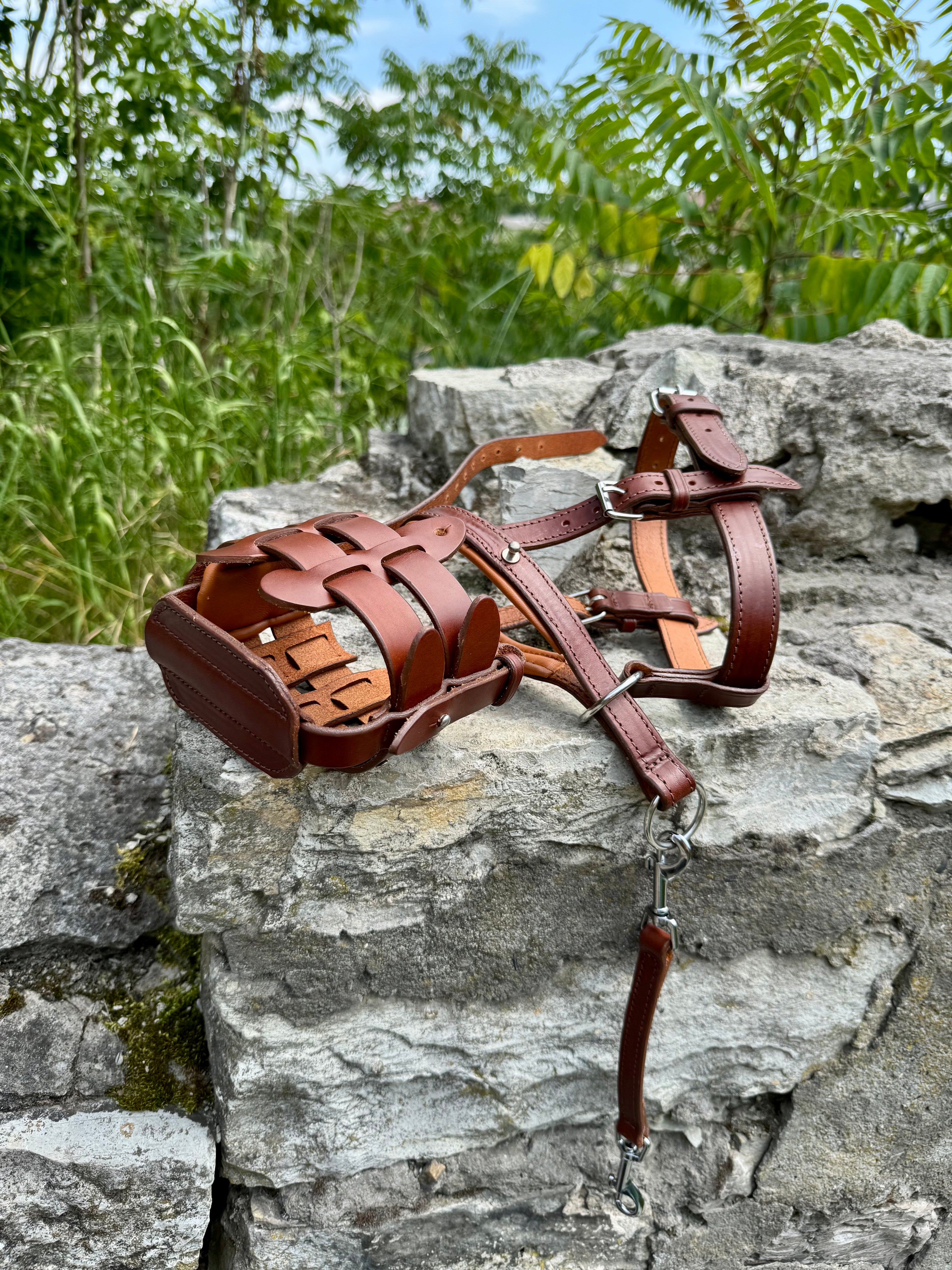 Dog Muzzle and Head Collar Set, Large Dog Muzzle Near Me